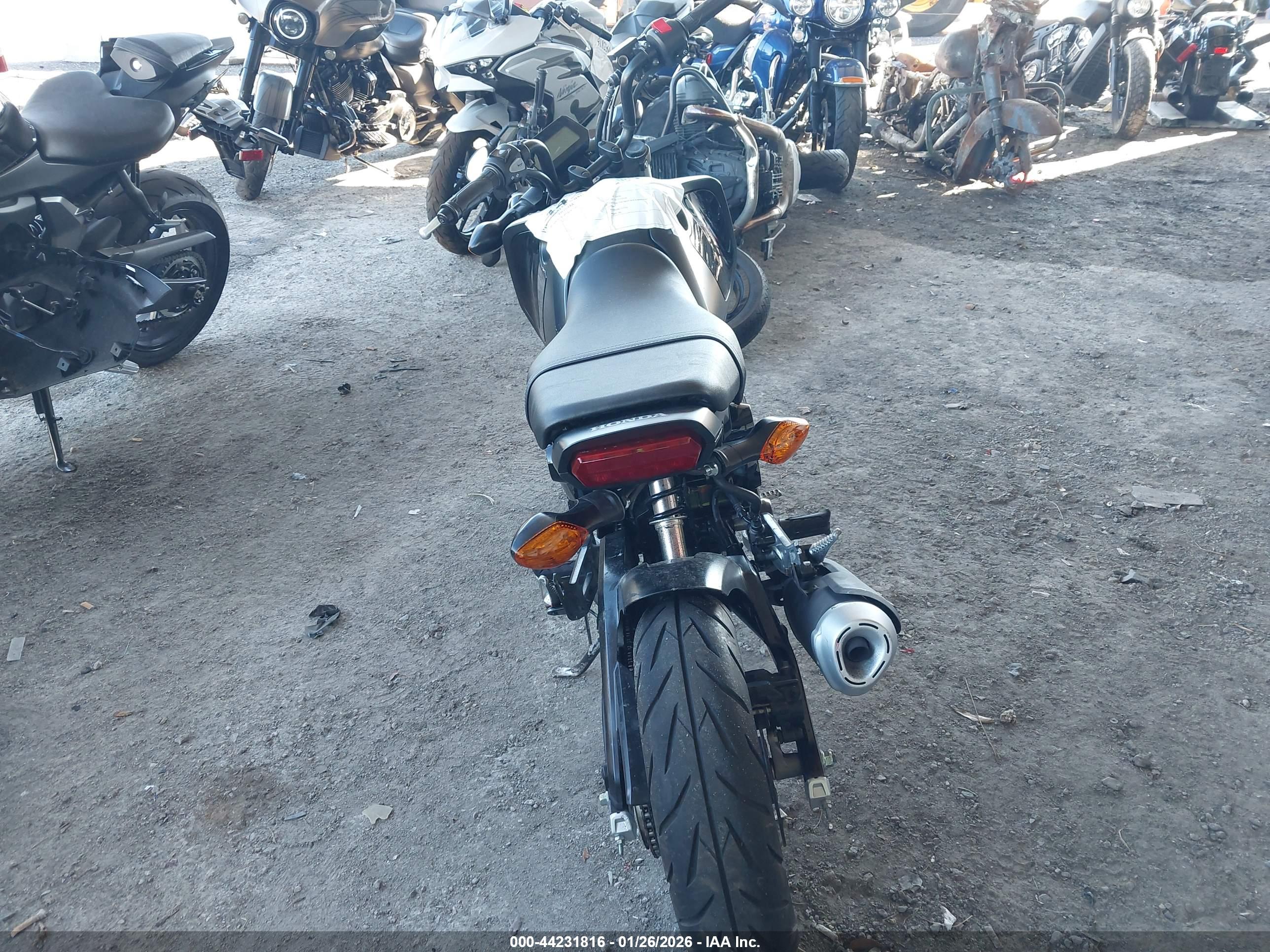 HONDA GROM image 6