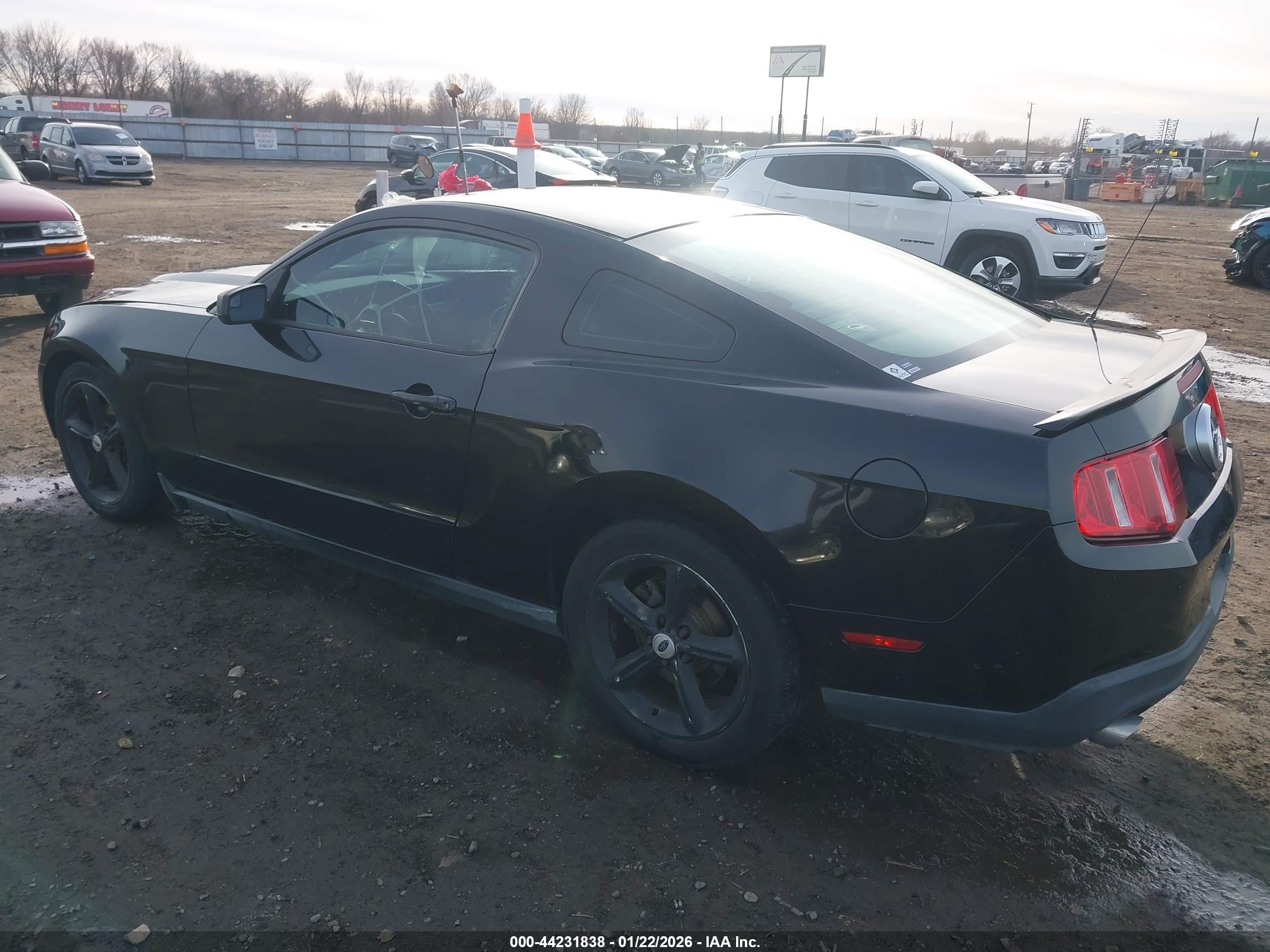 FORD MUSTANG image 3