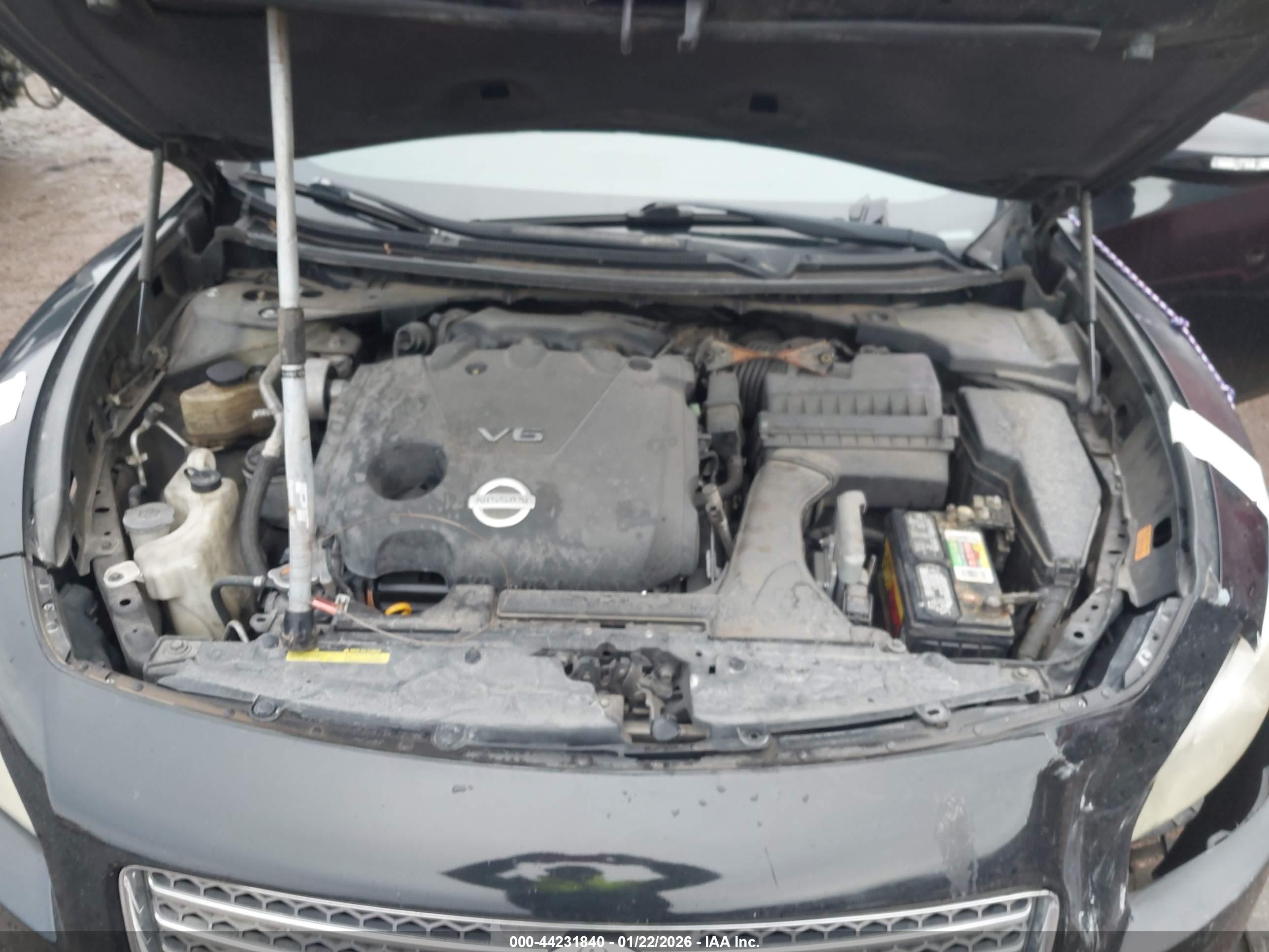 NISSAN MAXIMA image 10