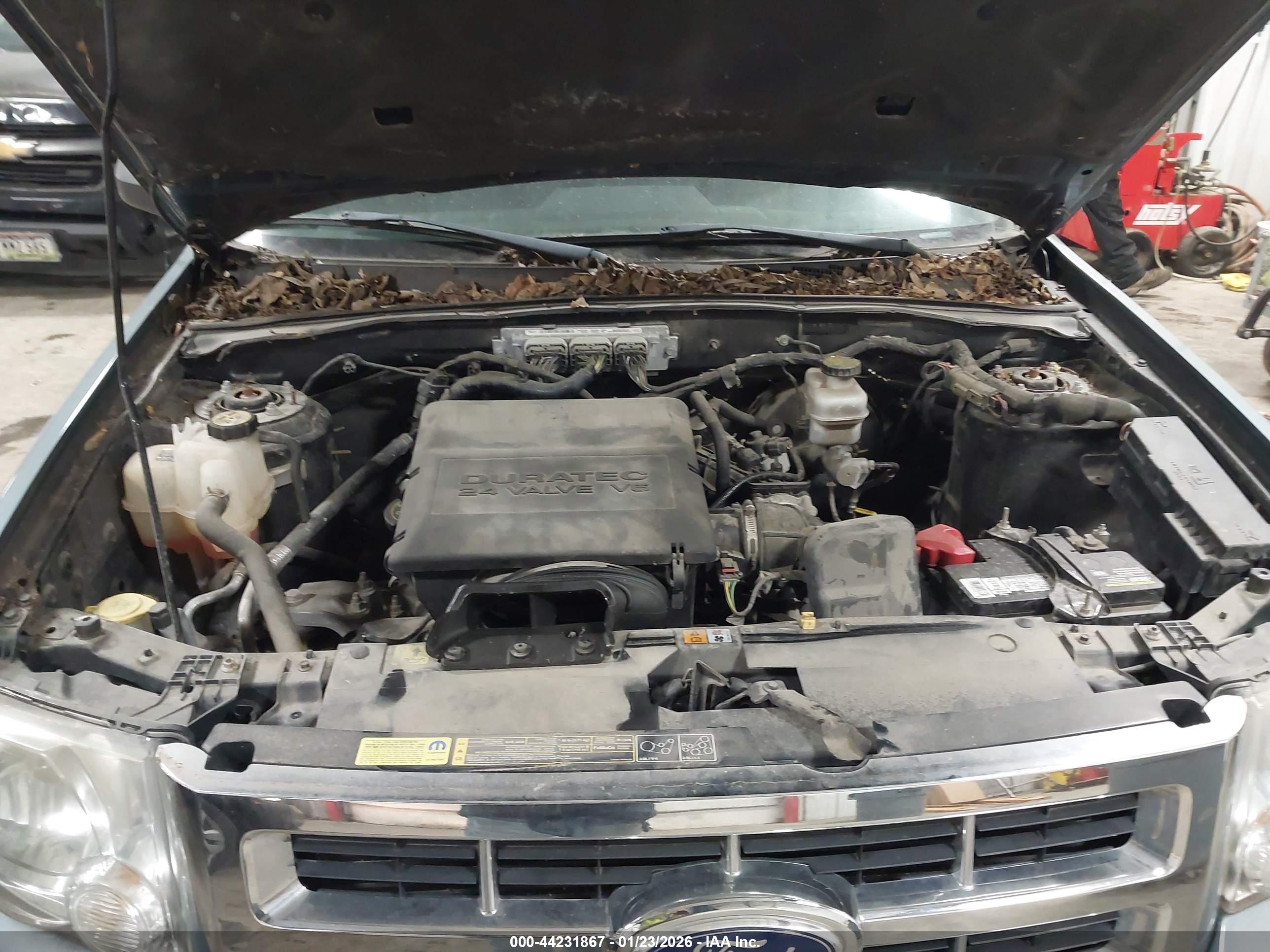 FORD ESCAPE image 10