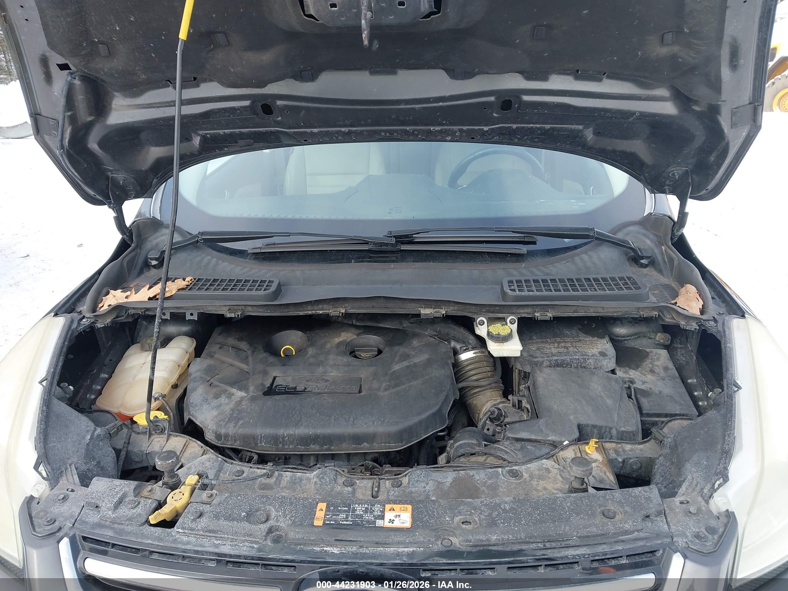 FORD ESCAPE image 10