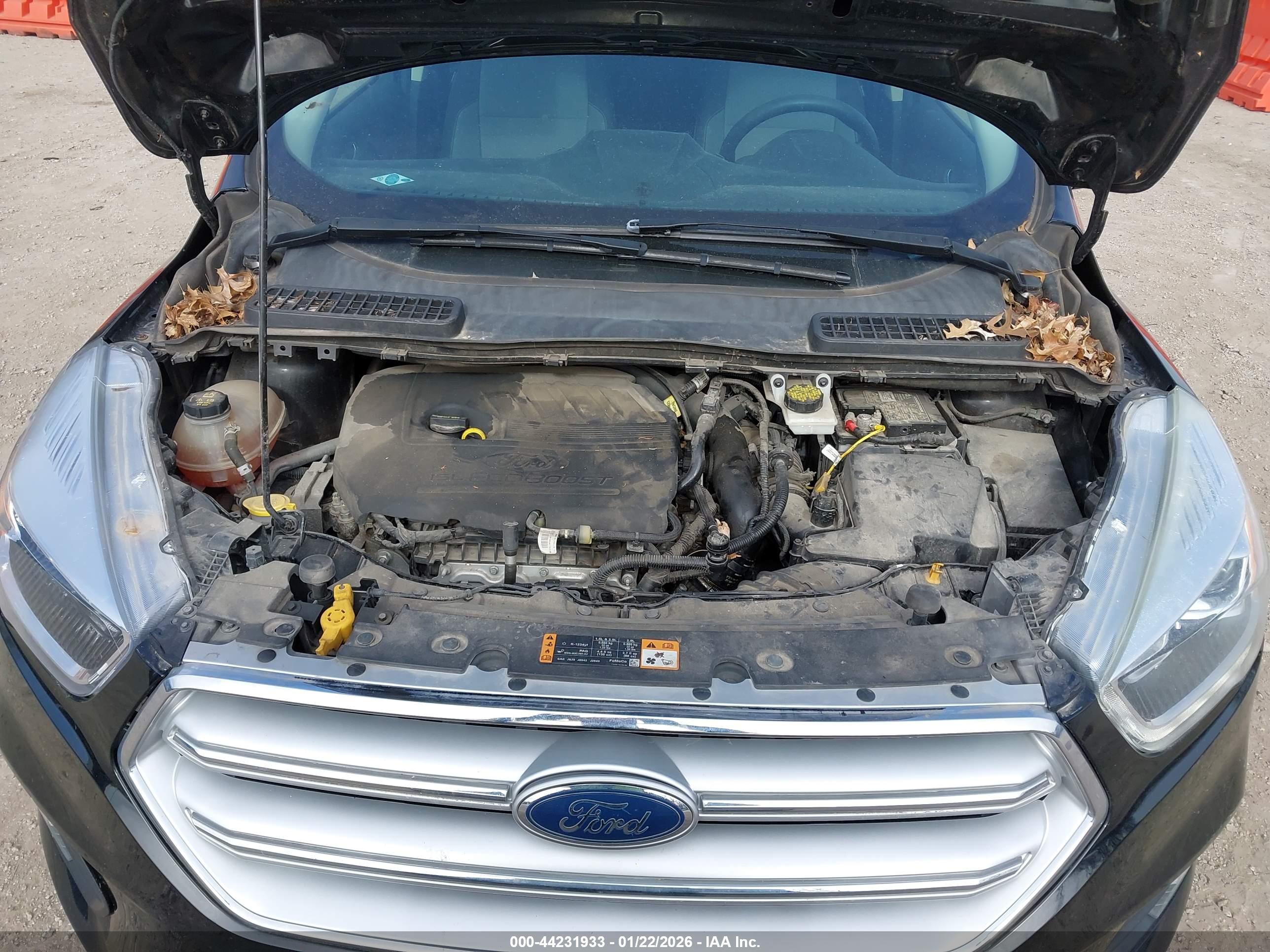 FORD ESCAPE image 10