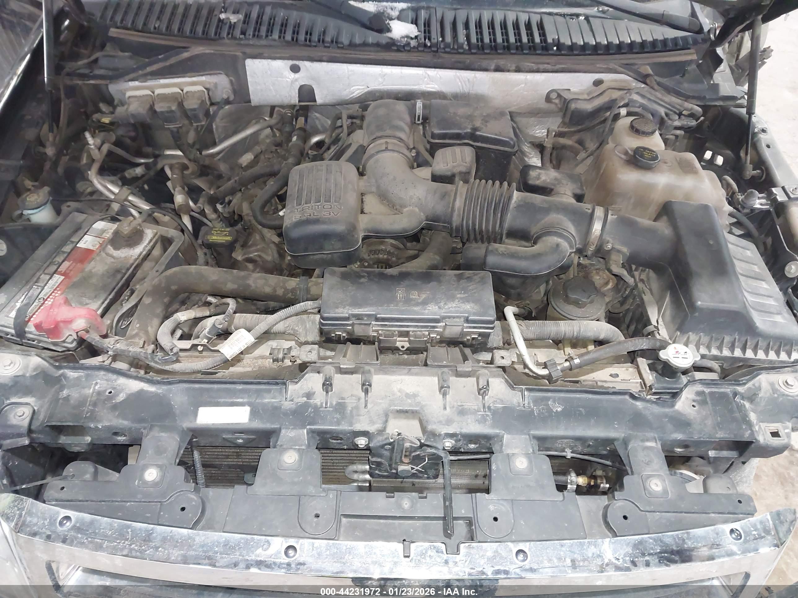 FORD EXPEDITION image 10