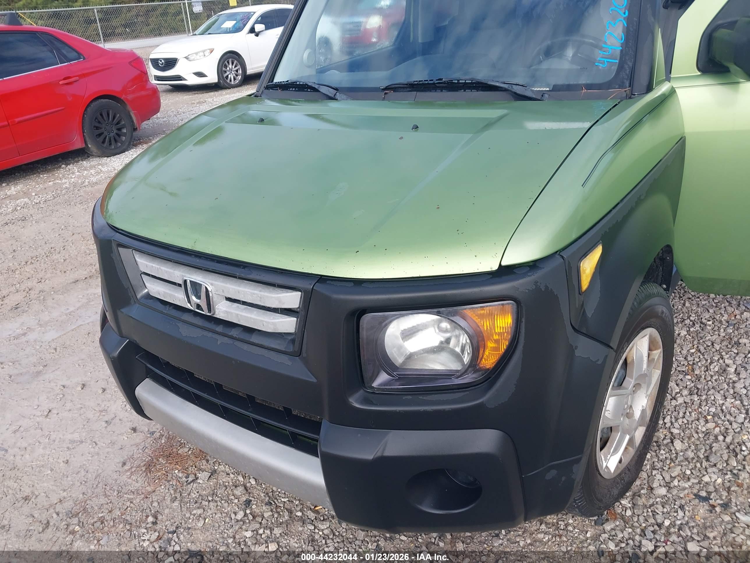 HONDA ELEMENT image 6