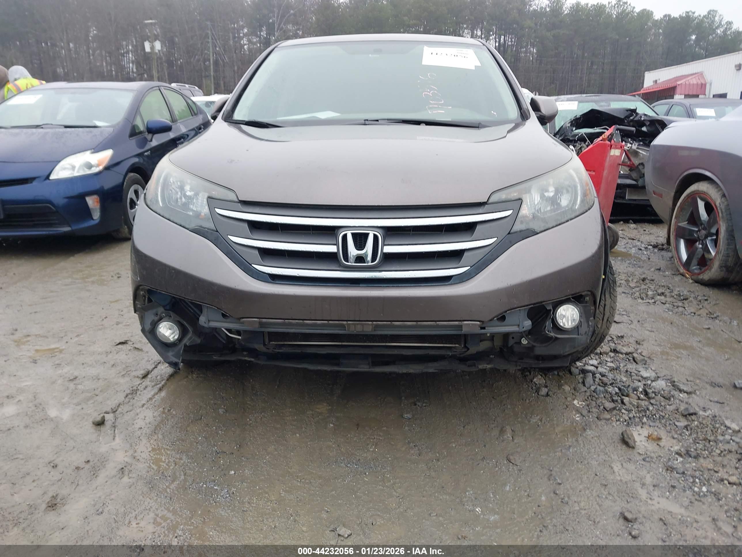 HONDA CR-V image 6