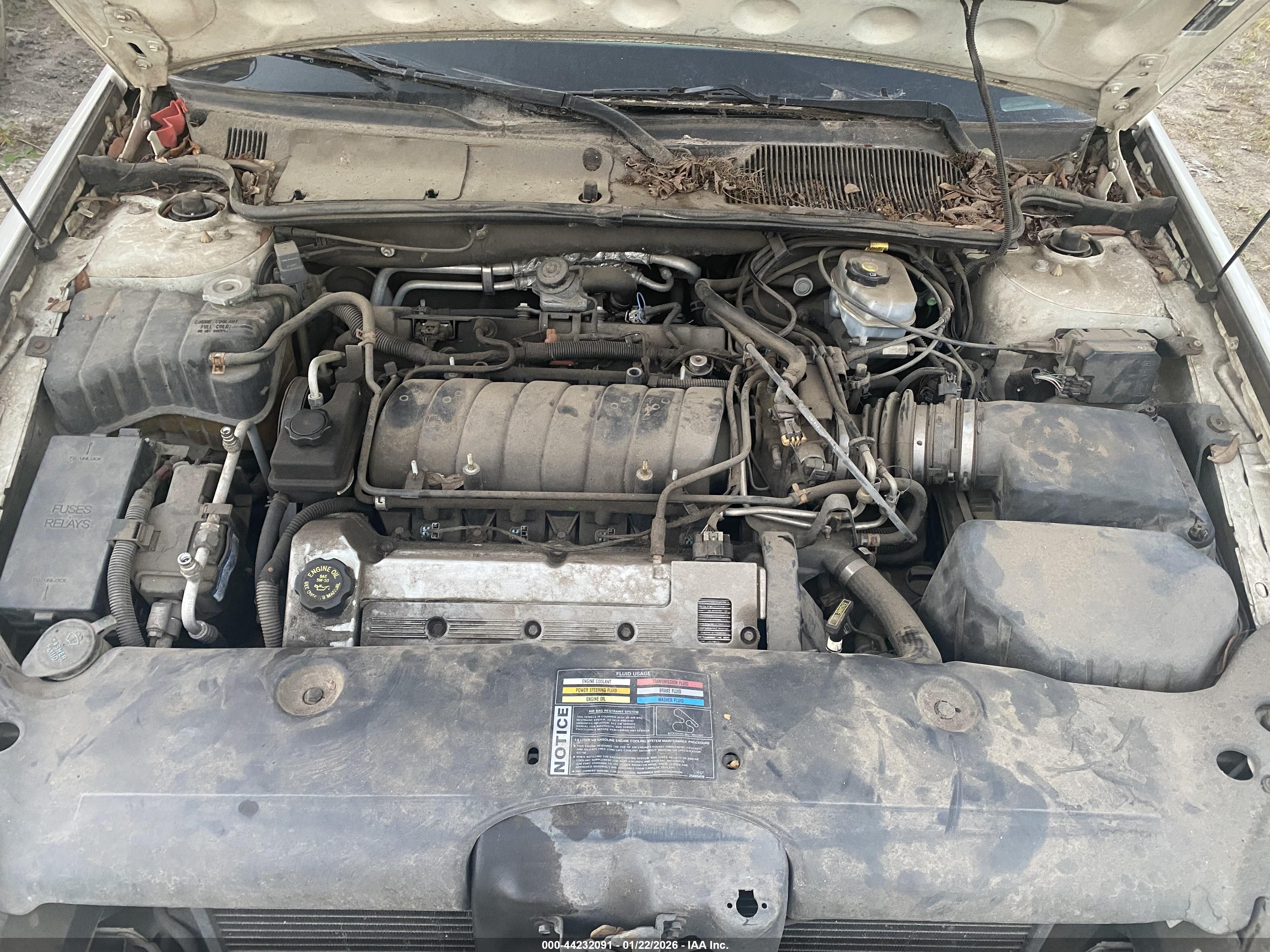 CADILLAC DEVILLE image 10
