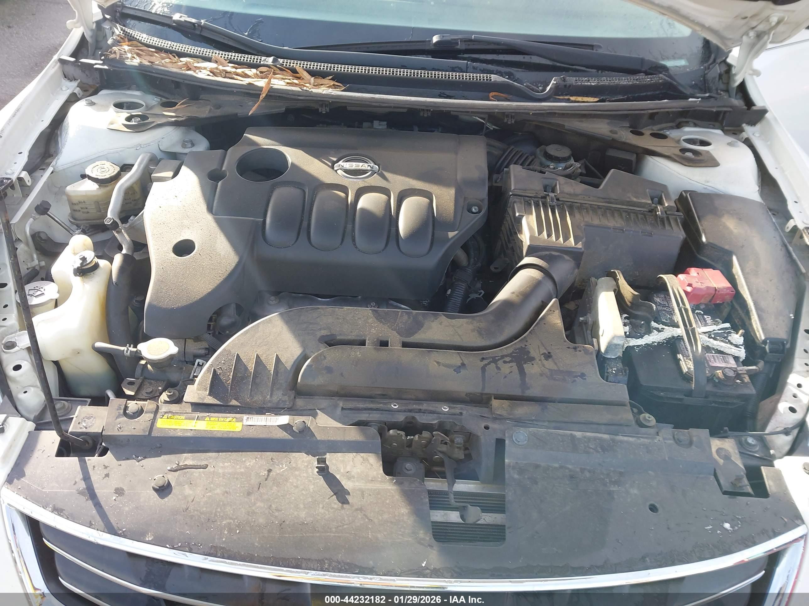 NISSAN ALTIMA image 10