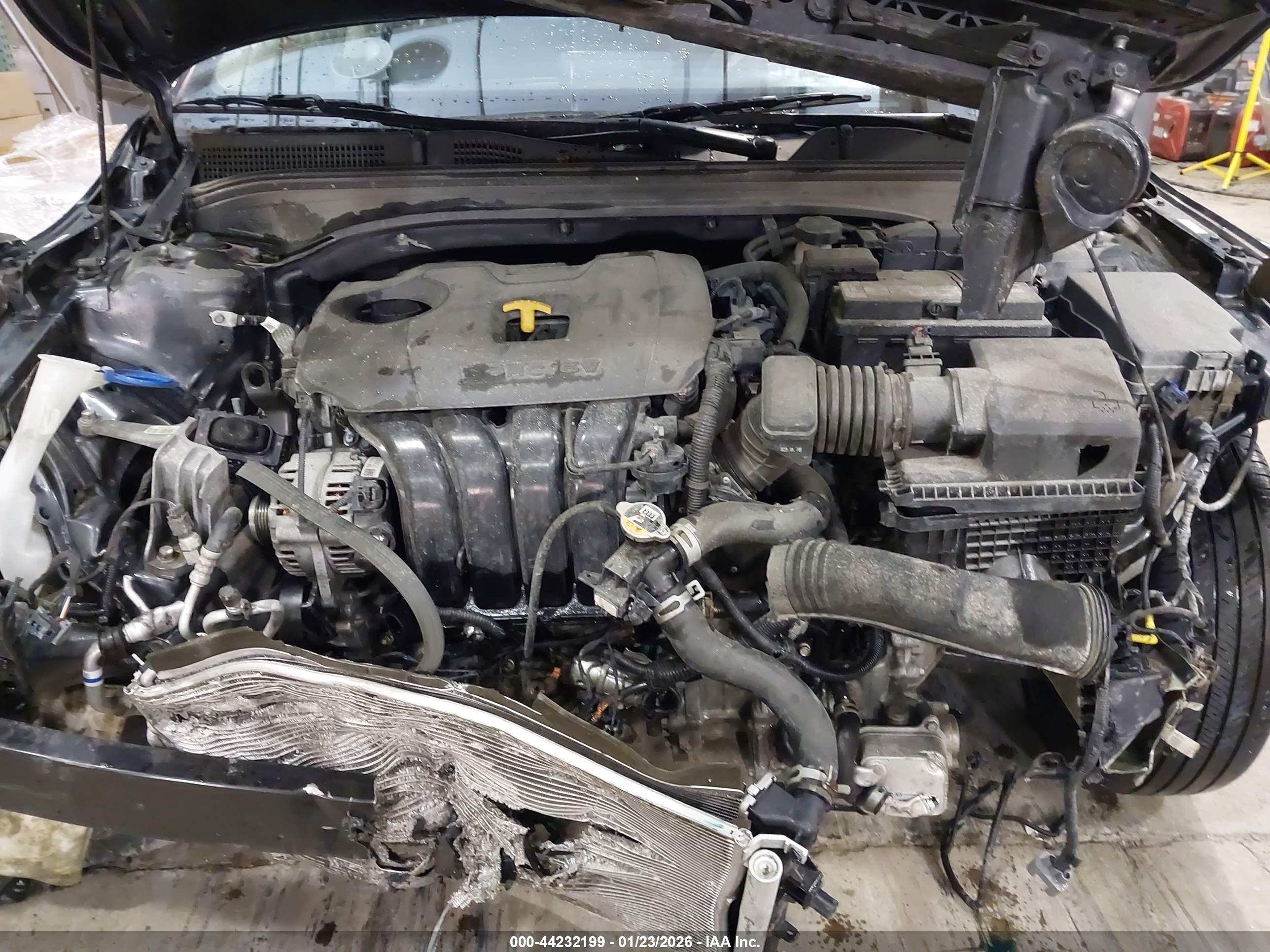 KIA FORTE image 10
