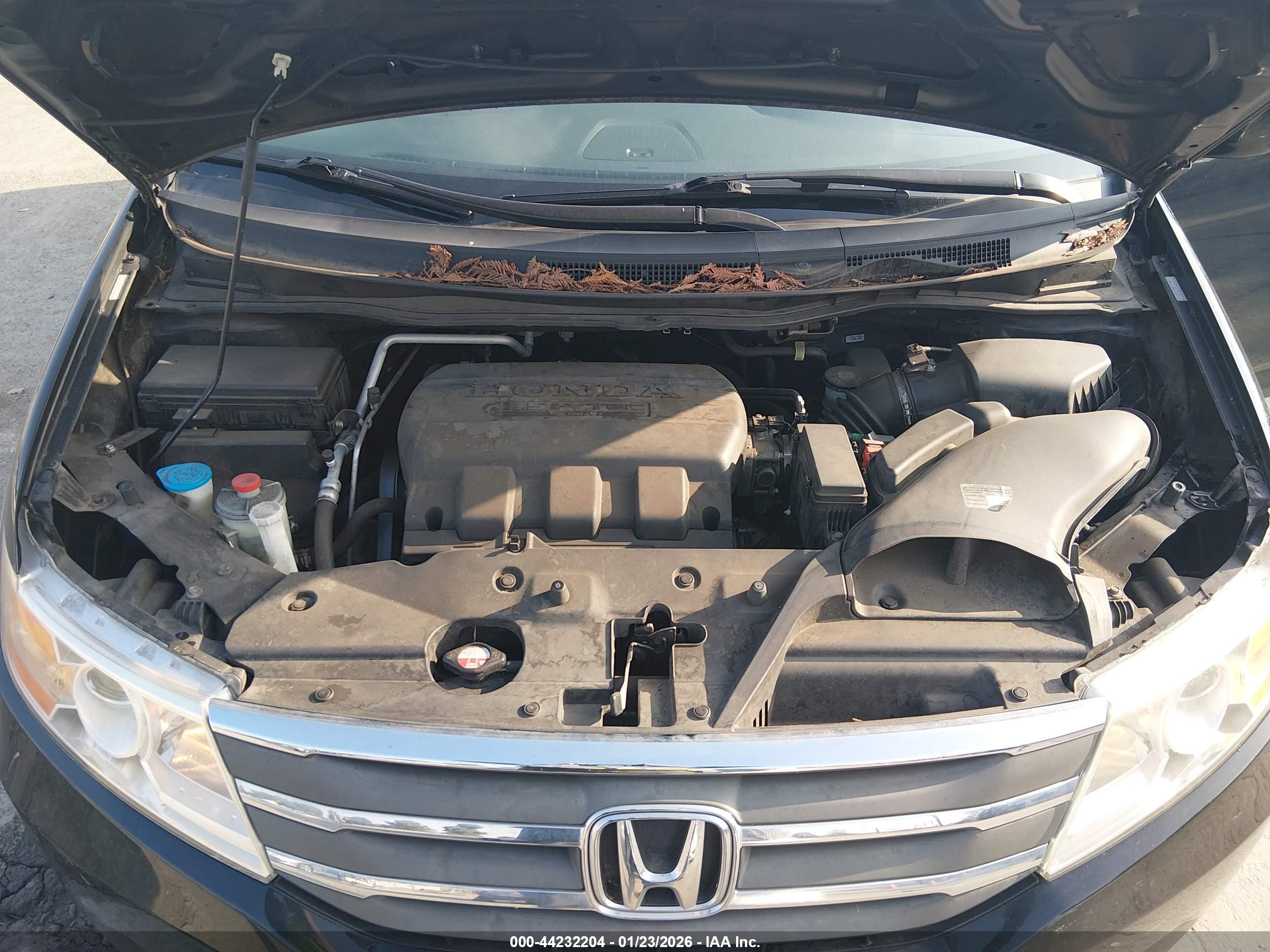 HONDA ODYSSEY image 10