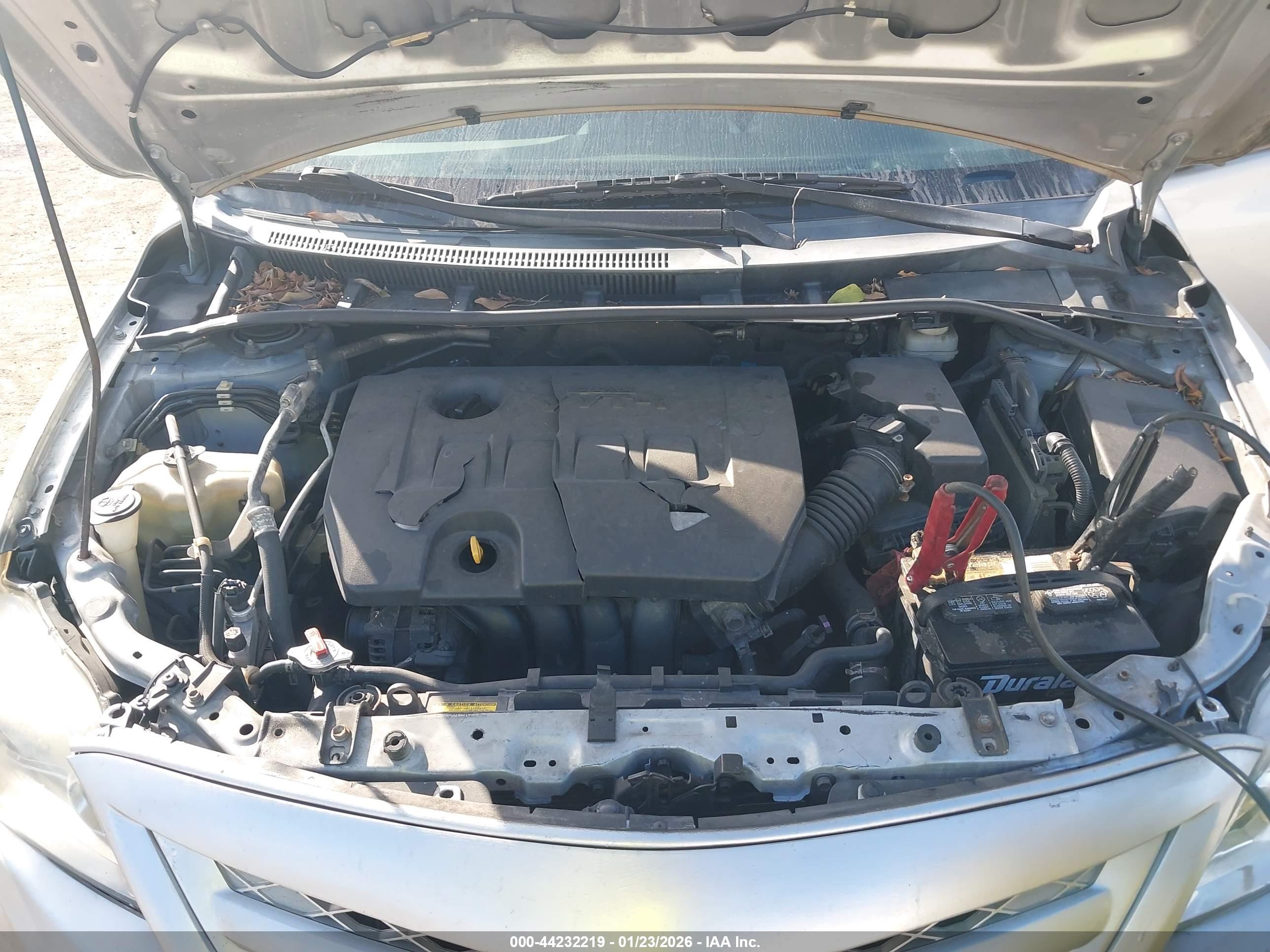 TOYOTA COROLLA image 10