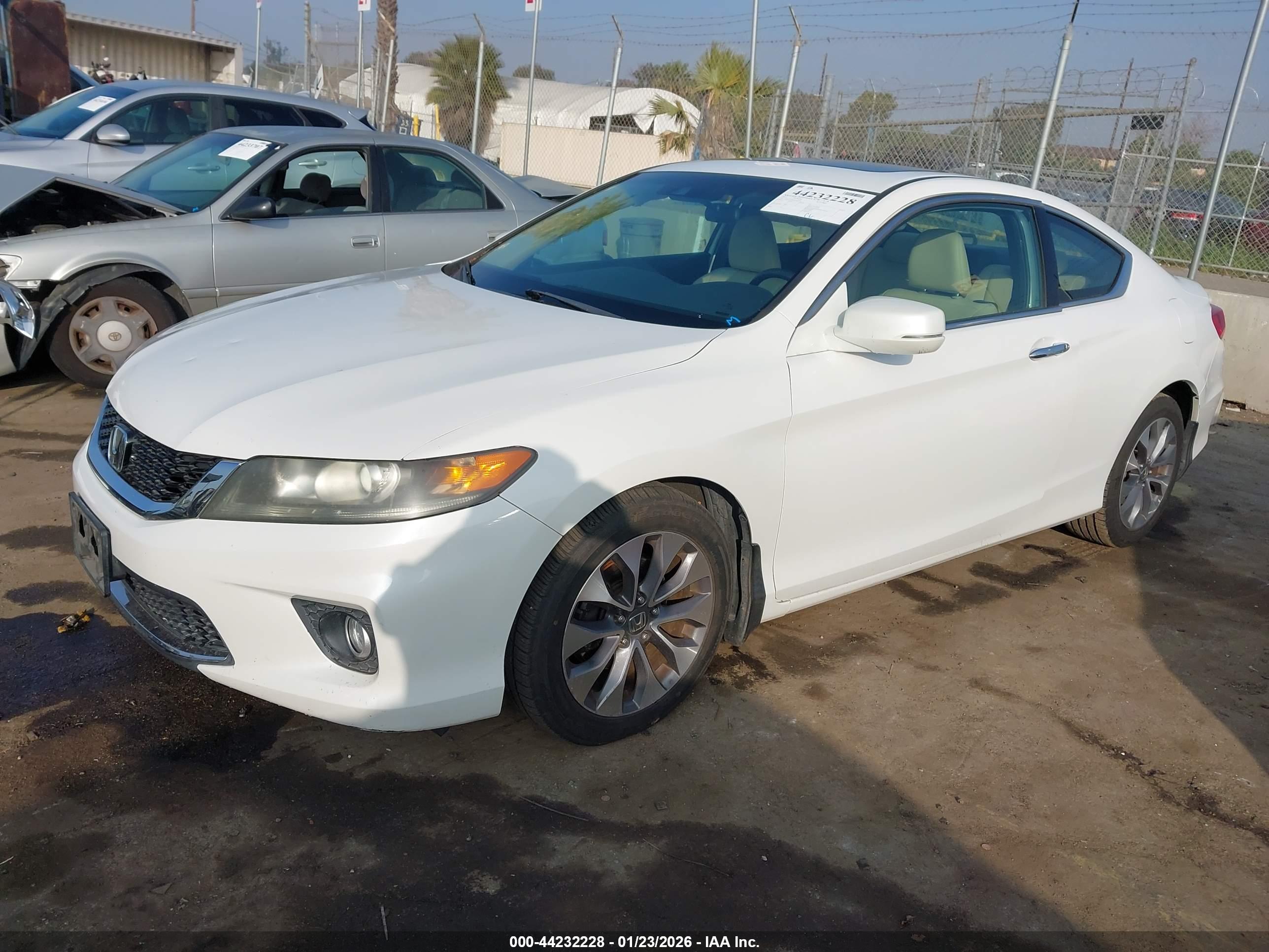 HONDA ACCORD image 2