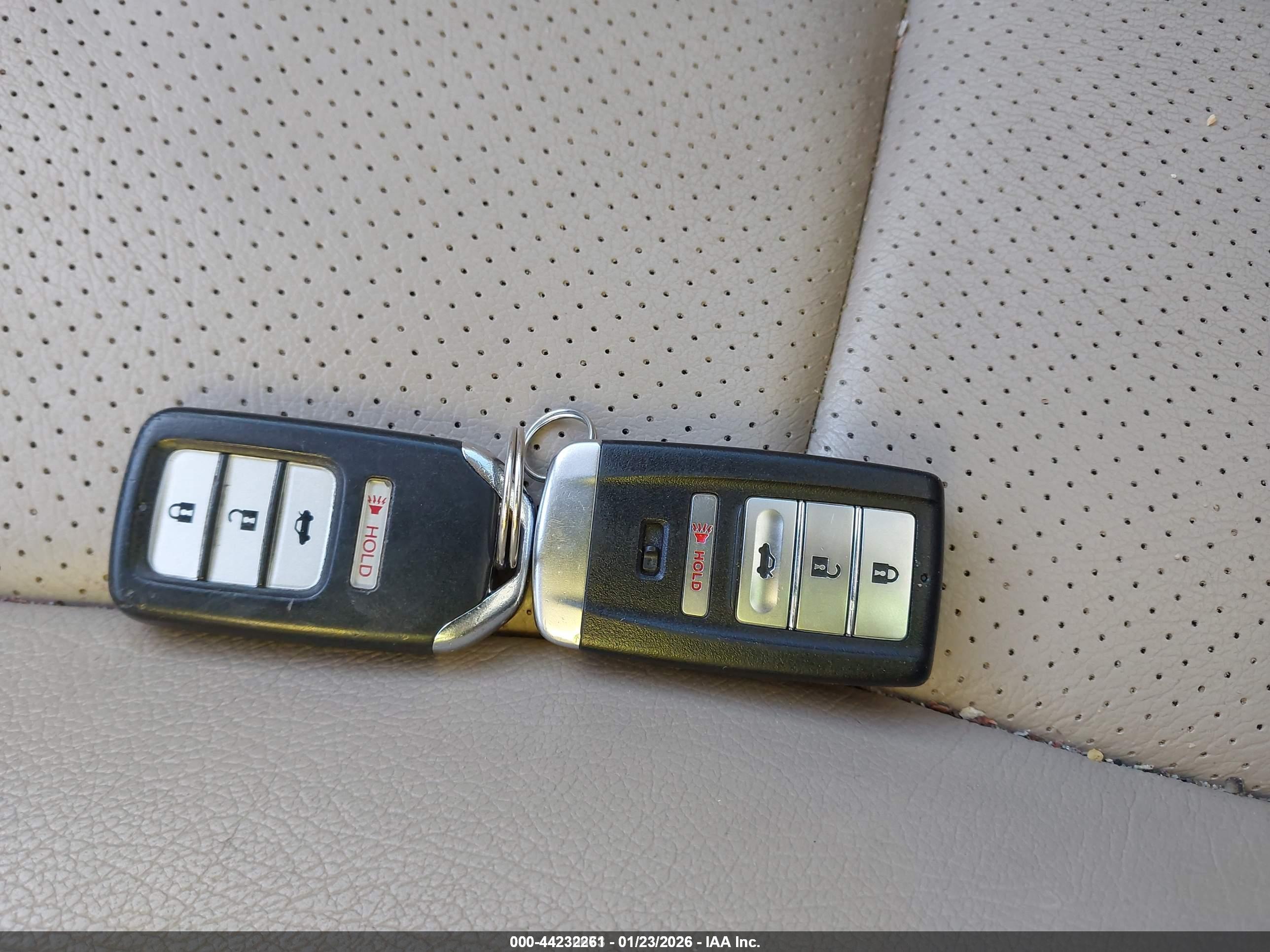 HONDA ACCORD image 11
