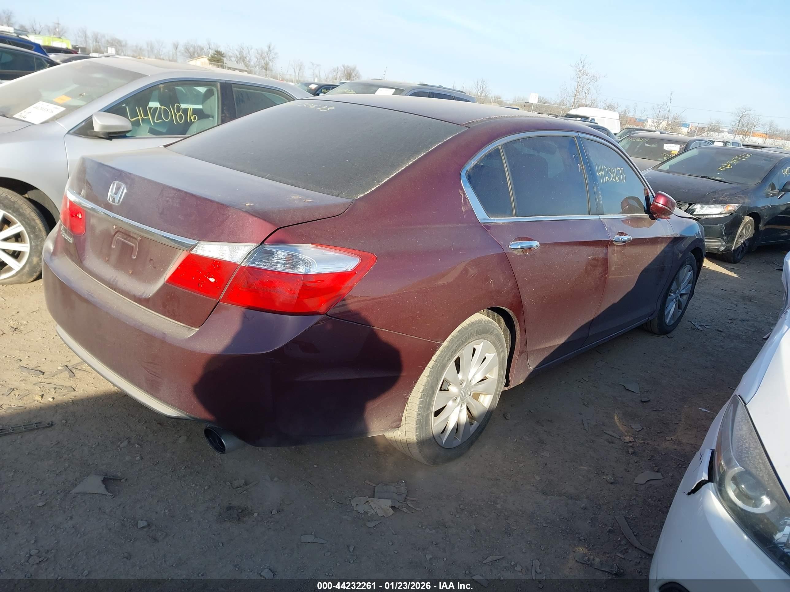 HONDA ACCORD image 4