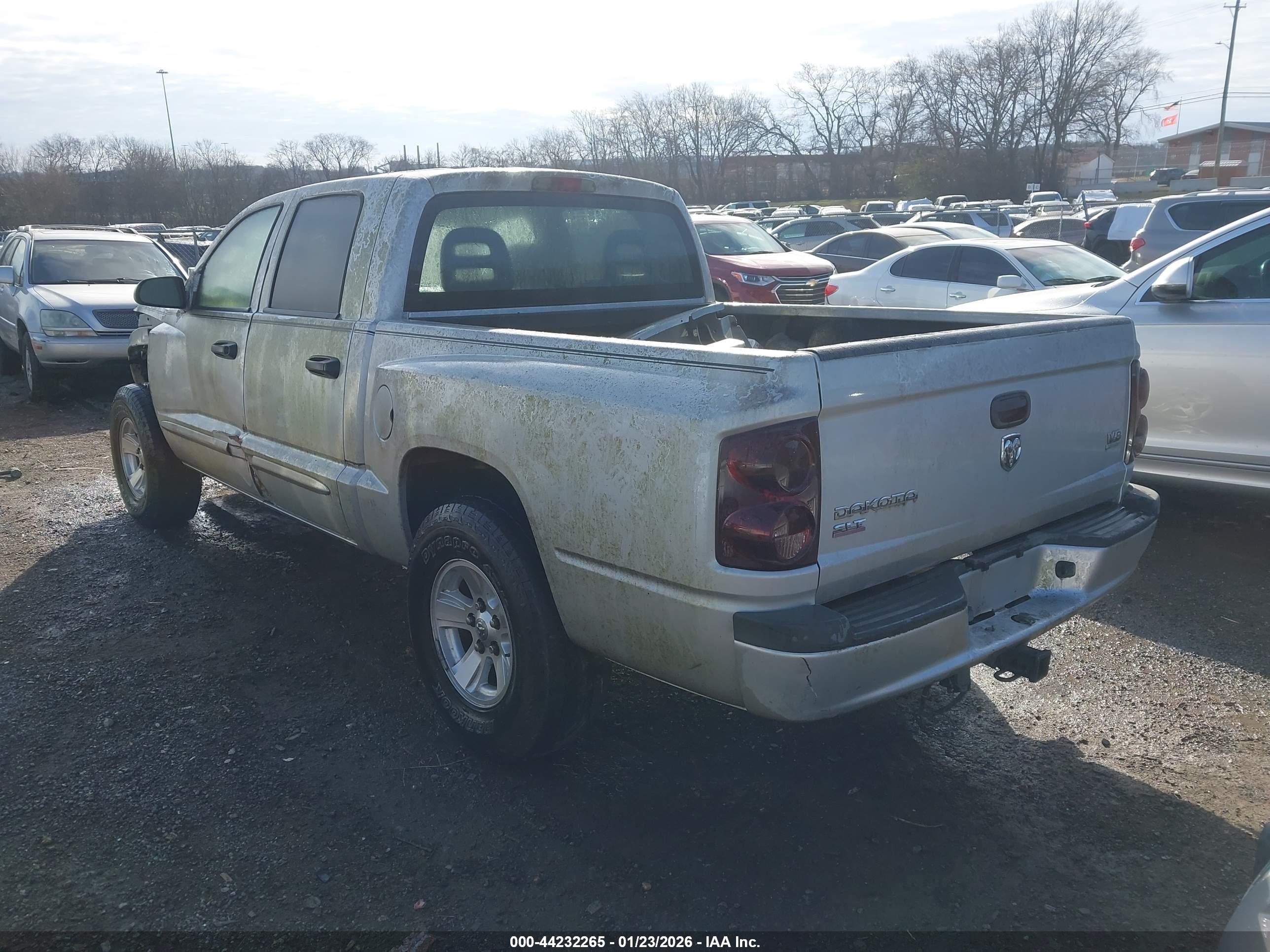 DODGE DAKOTA image 3