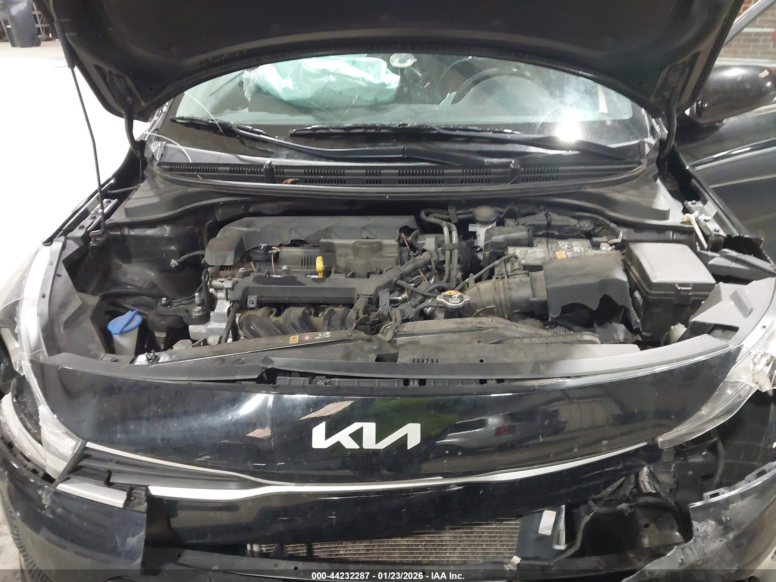 KIA RIO image 10