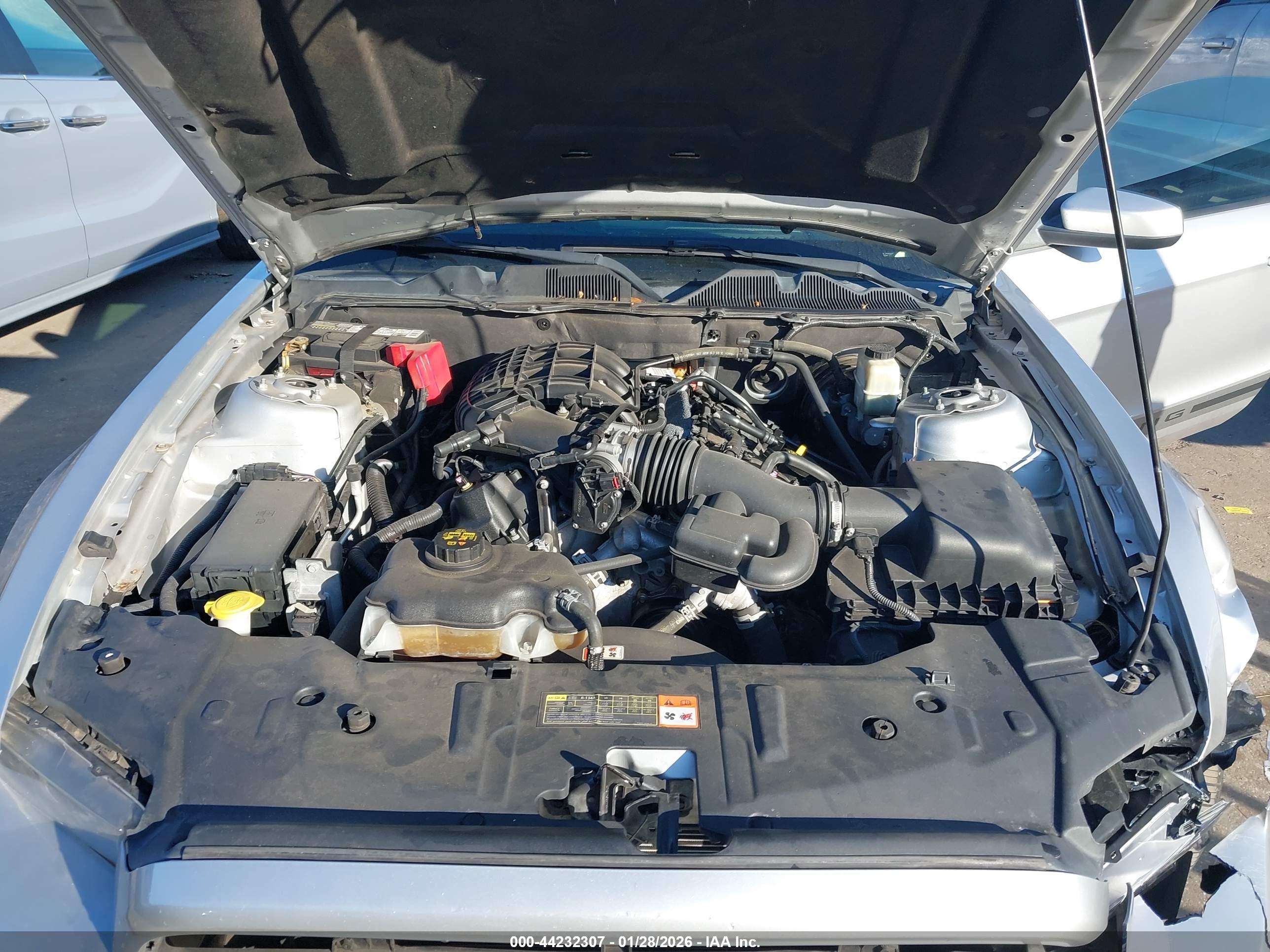 FORD MUSTANG image 10