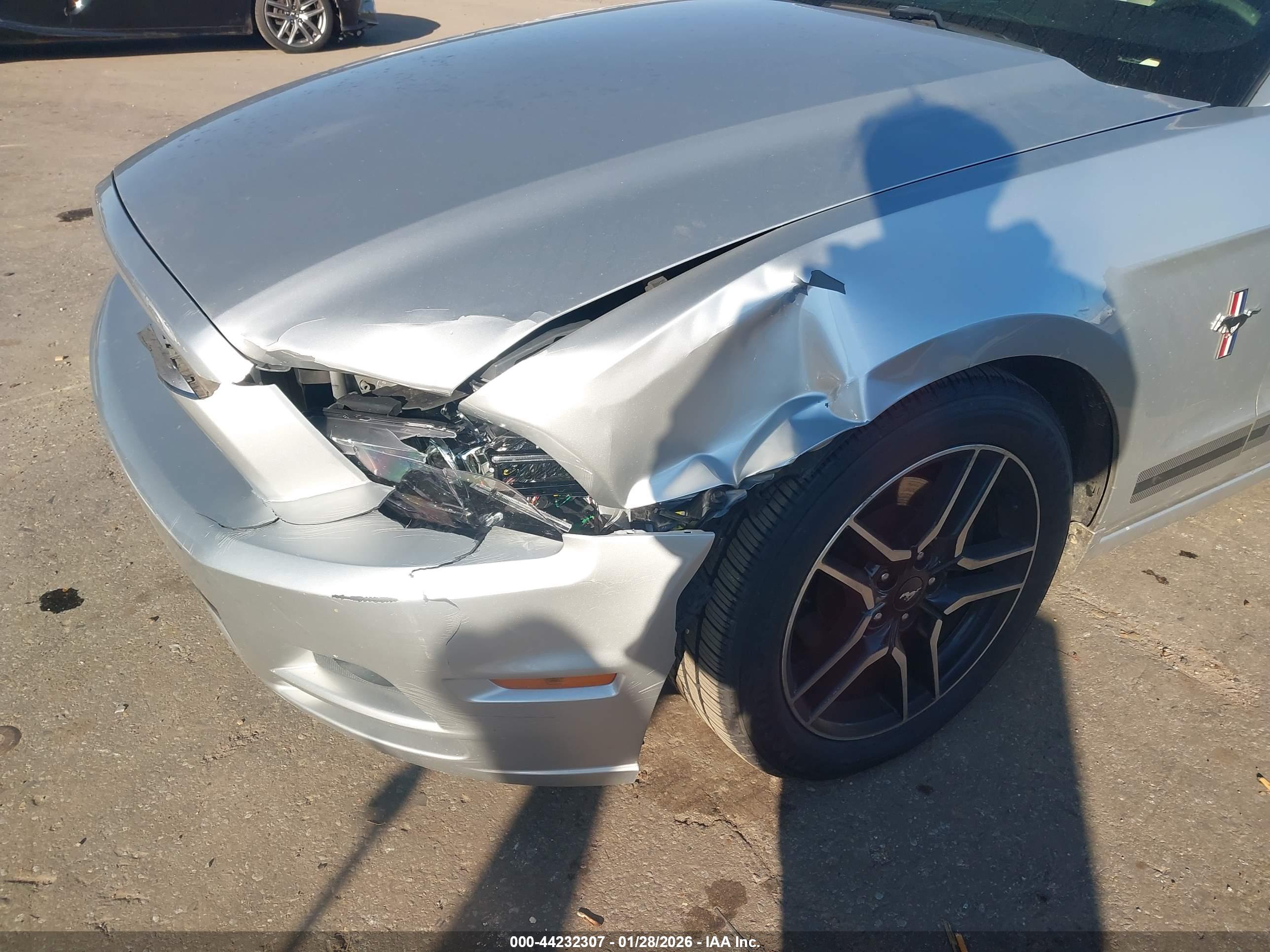 FORD MUSTANG image 6