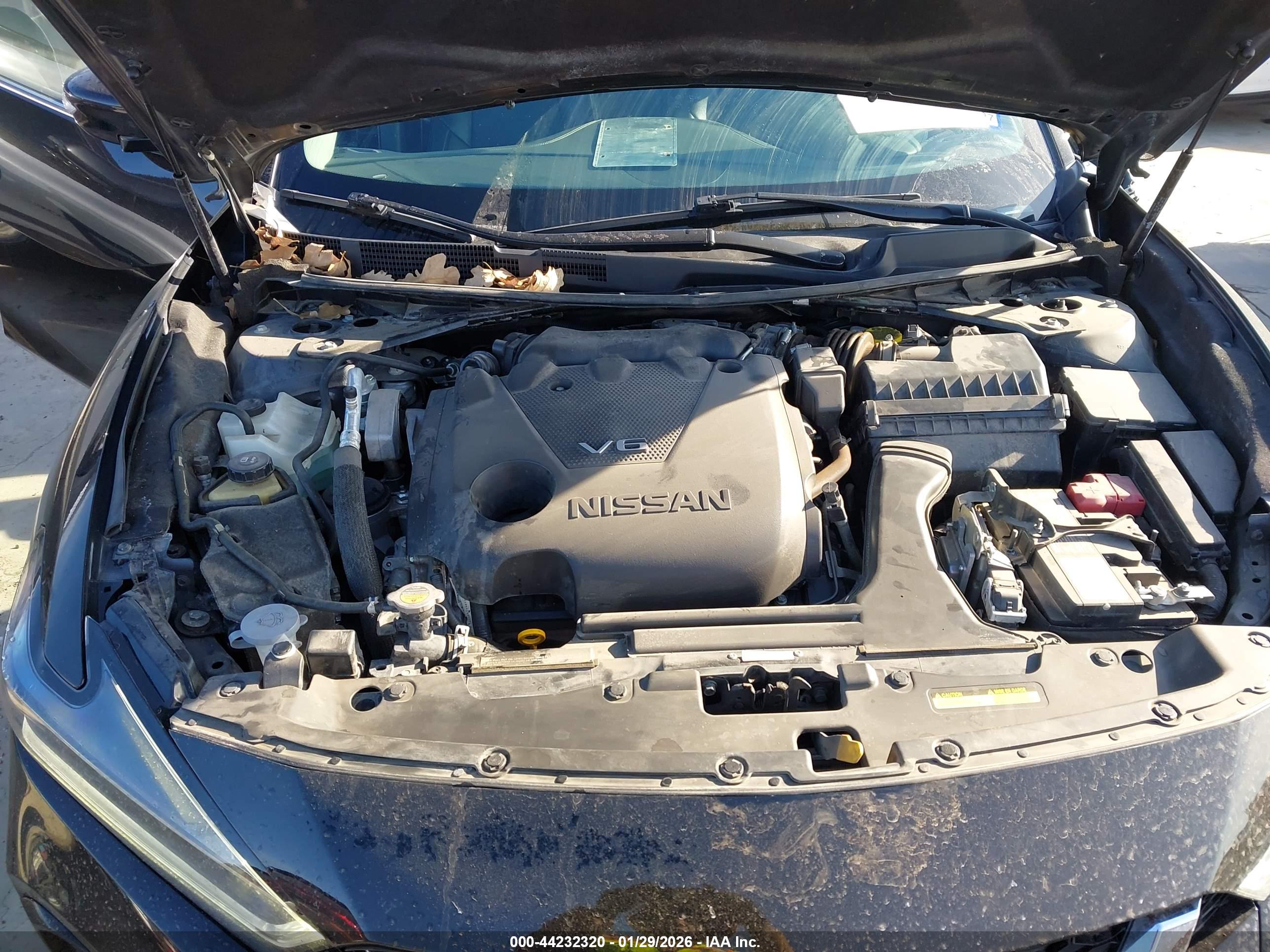 NISSAN MAXIMA image 10