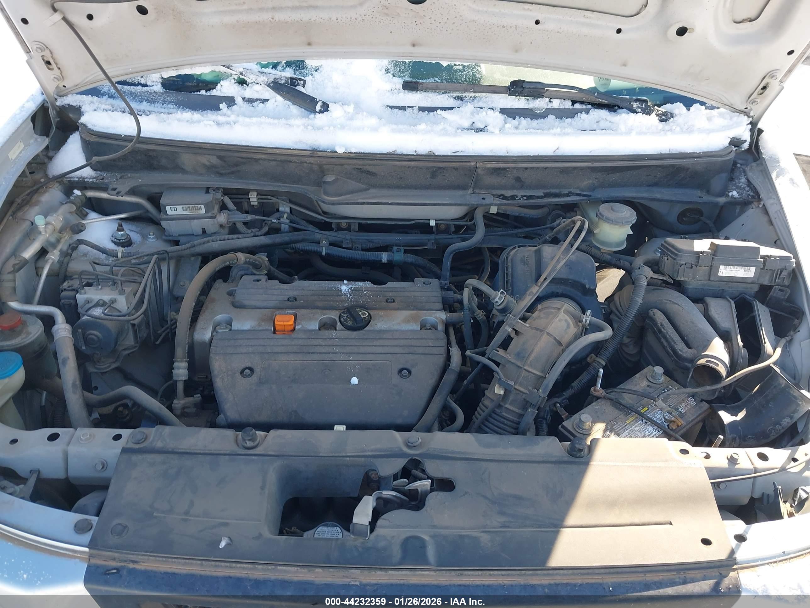 HONDA ELEMENT image 10