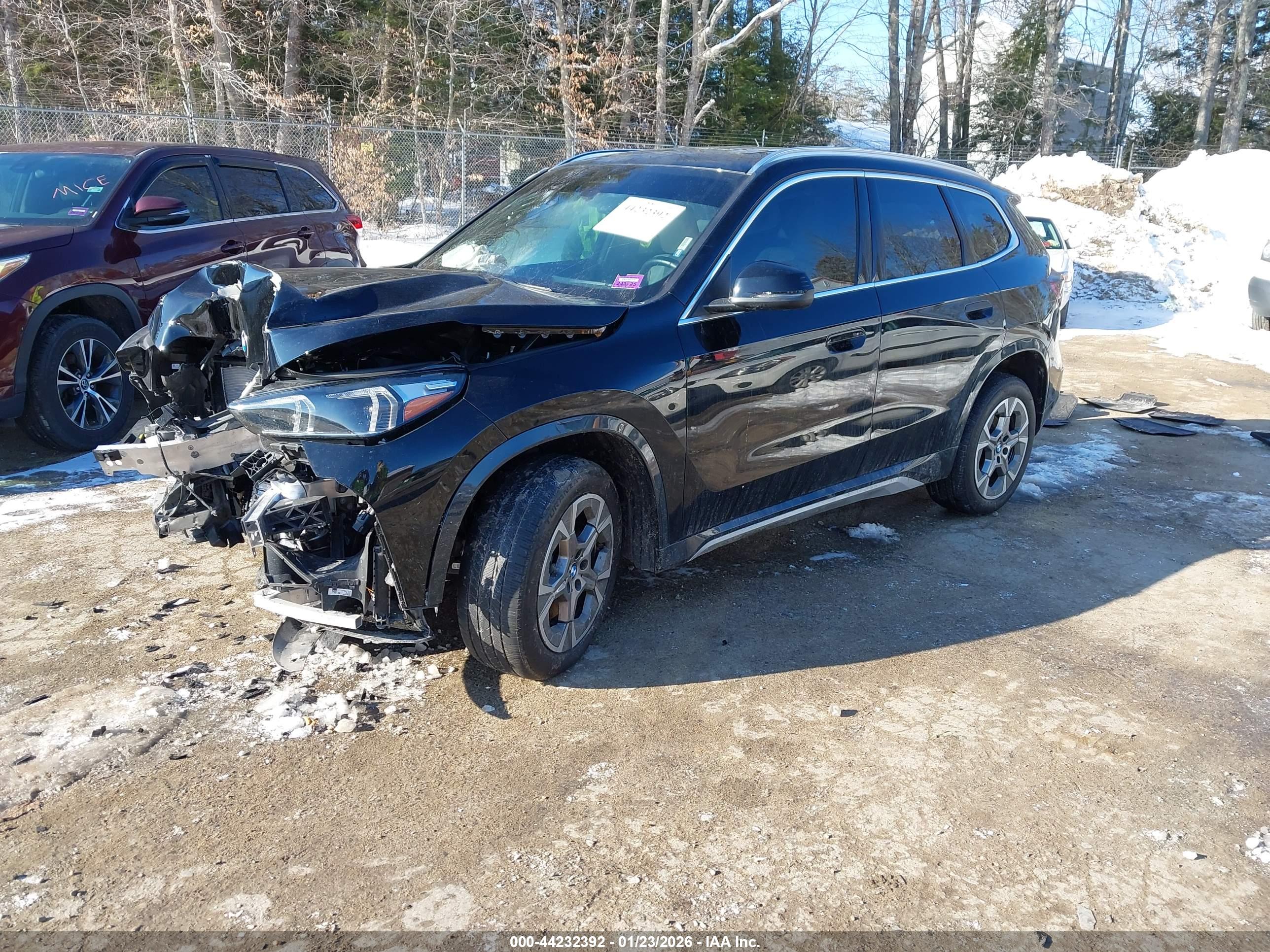 BMW X1 image 2