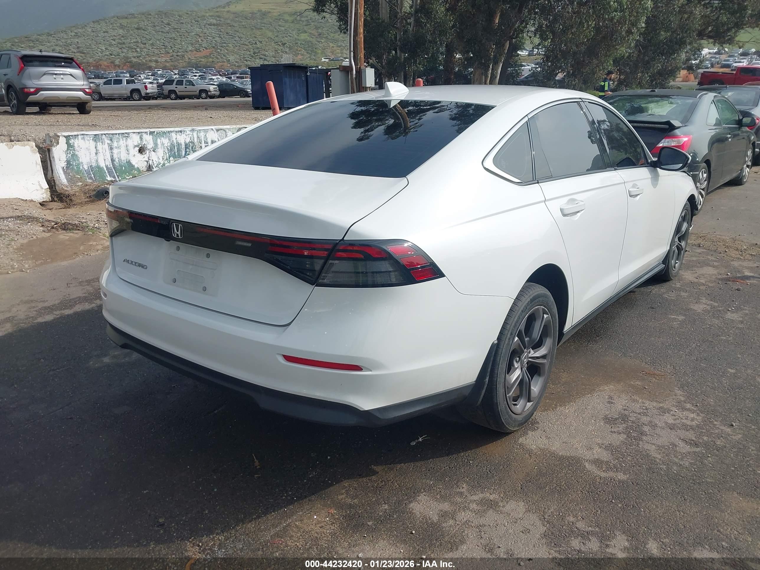 HONDA ACCORD image 4