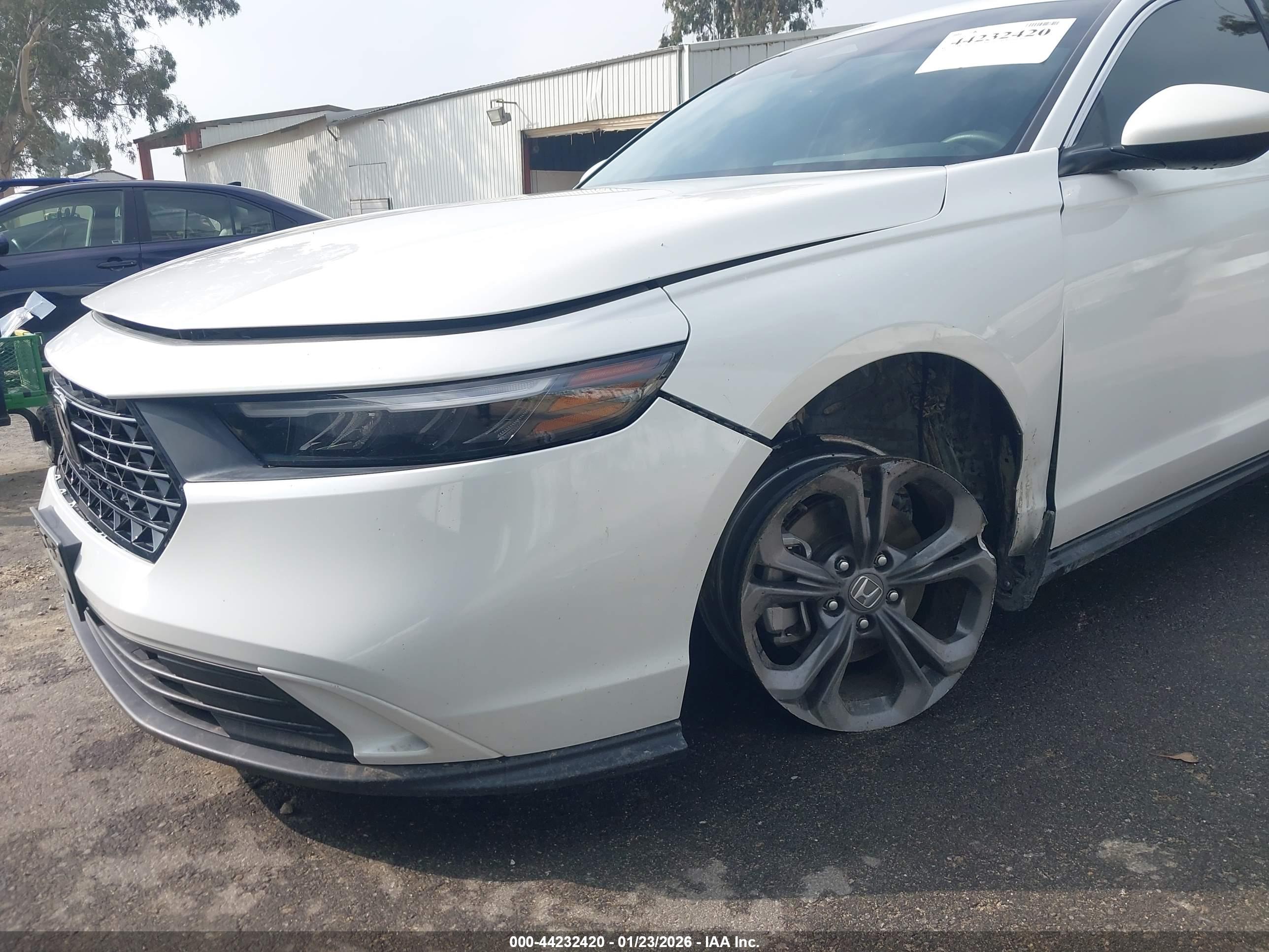 HONDA ACCORD image 6