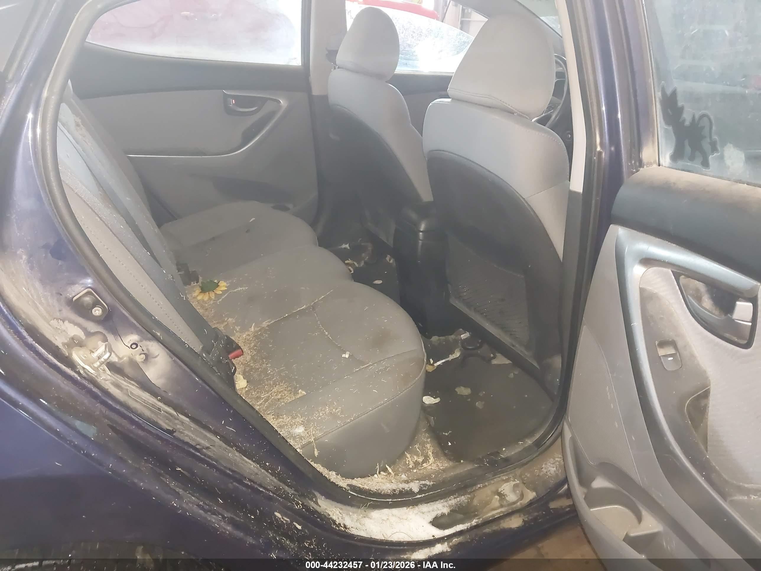 HYUNDAI ELANTRA image 8