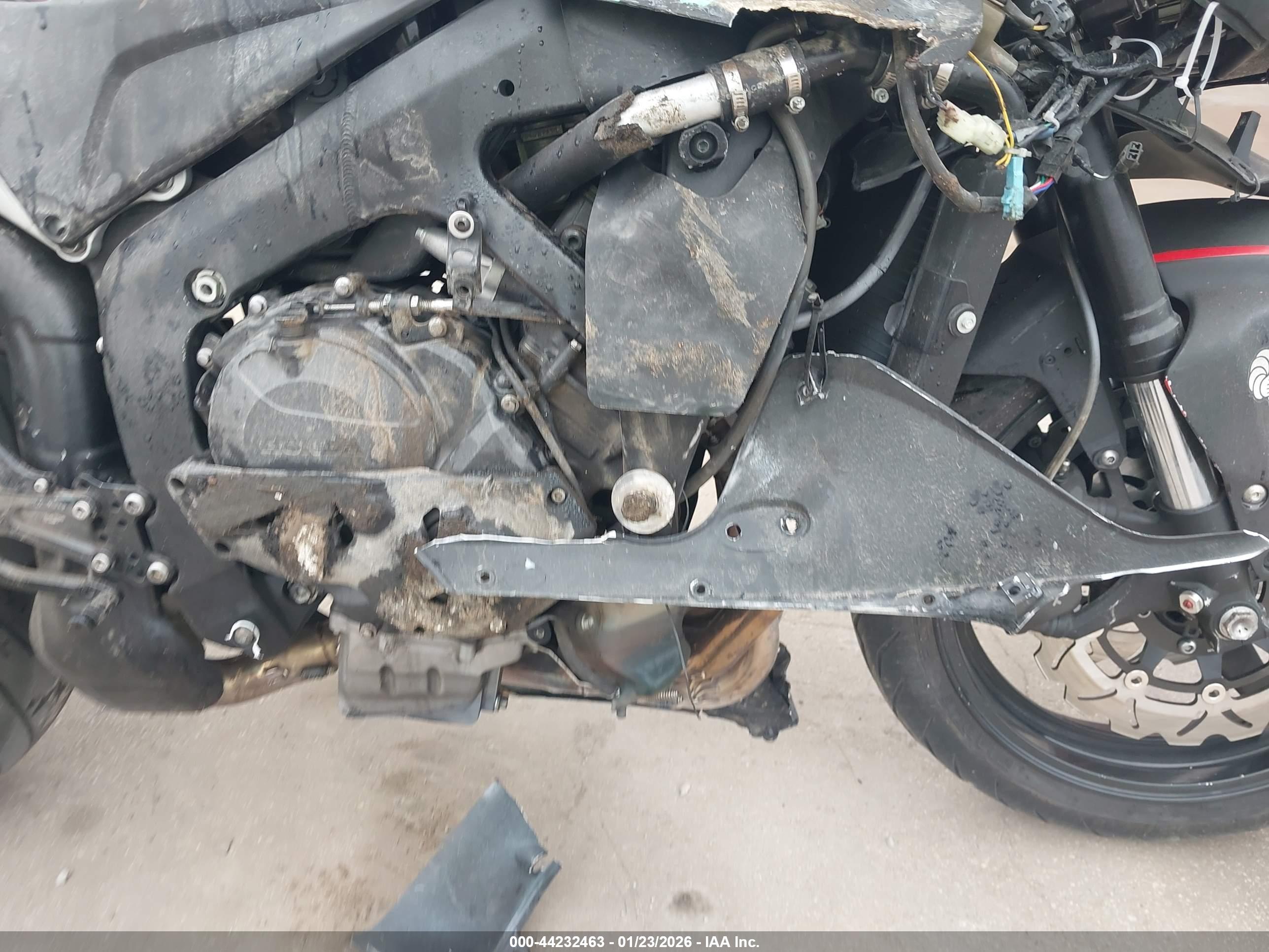 HONDA CBR600 image 8