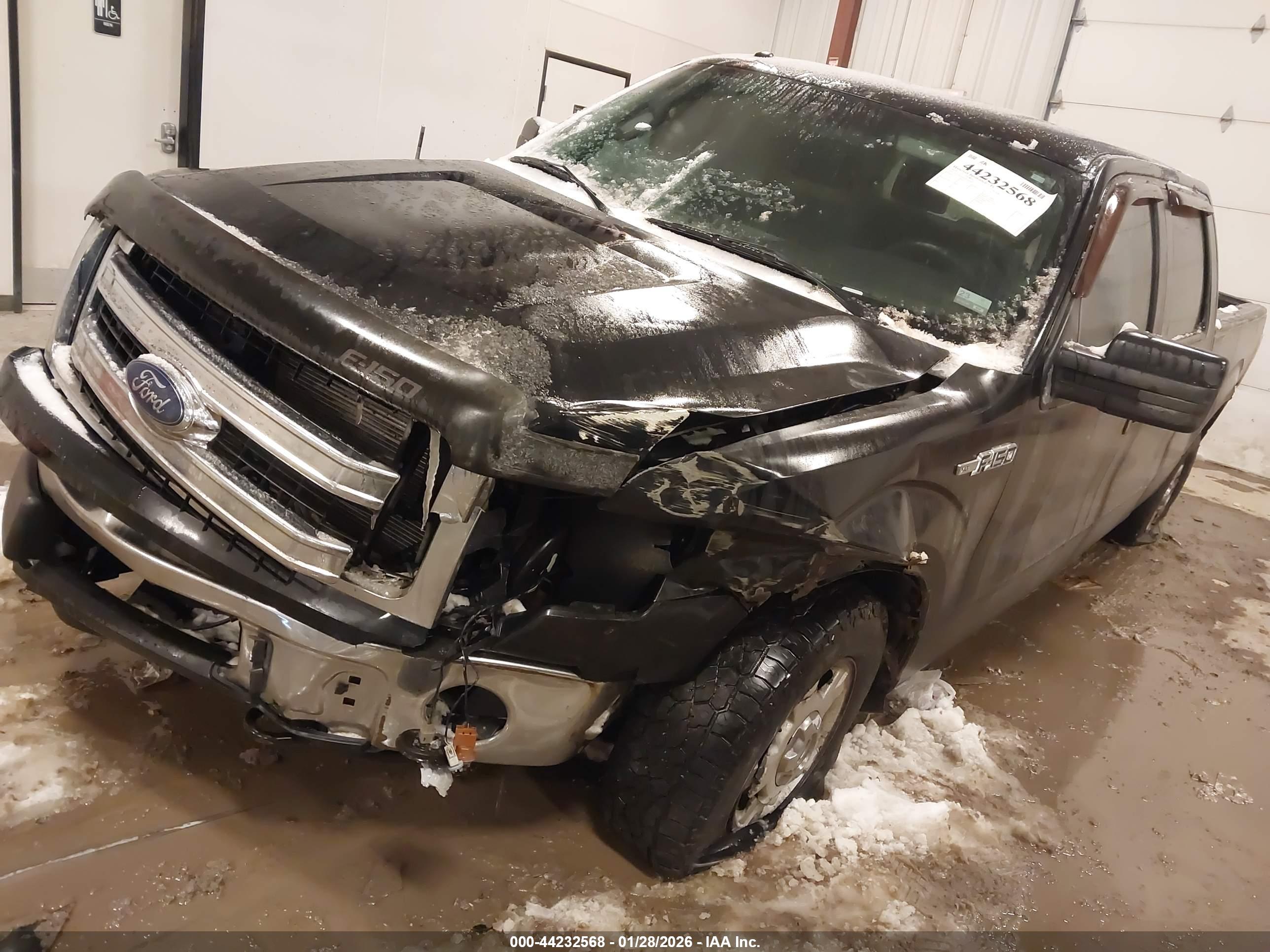 FORD F-150 image 2