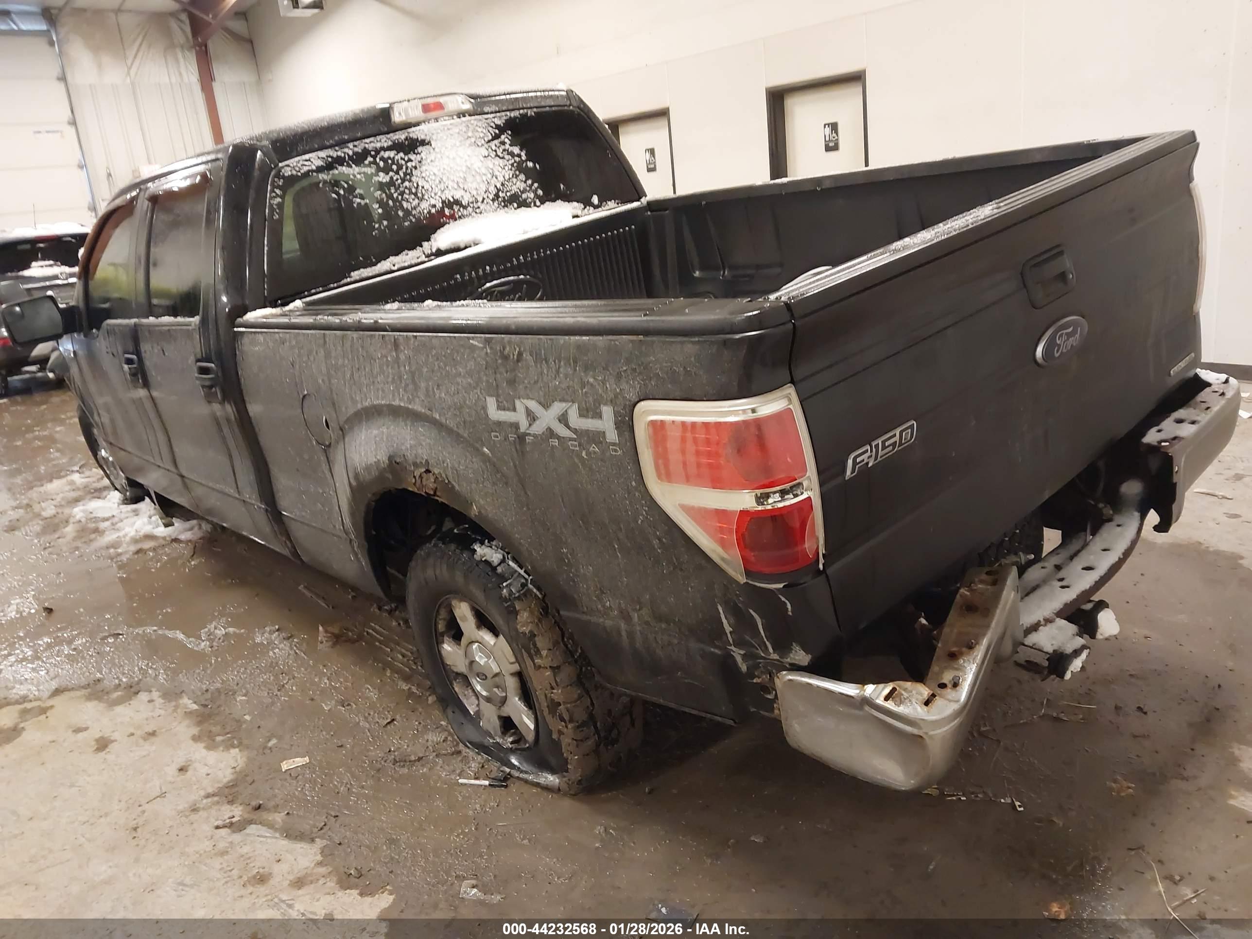 FORD F-150 image 3