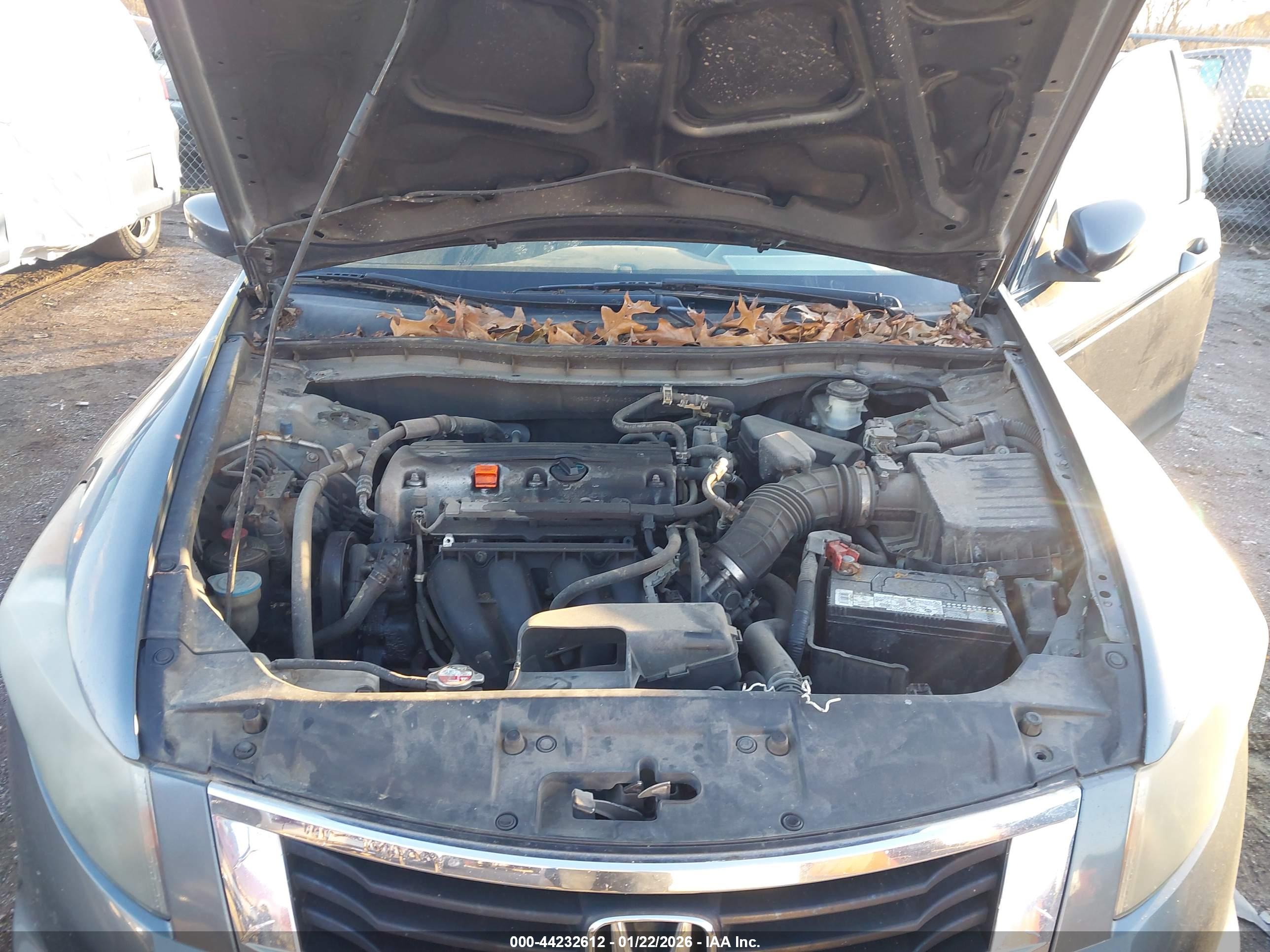 HONDA ACCORD image 10