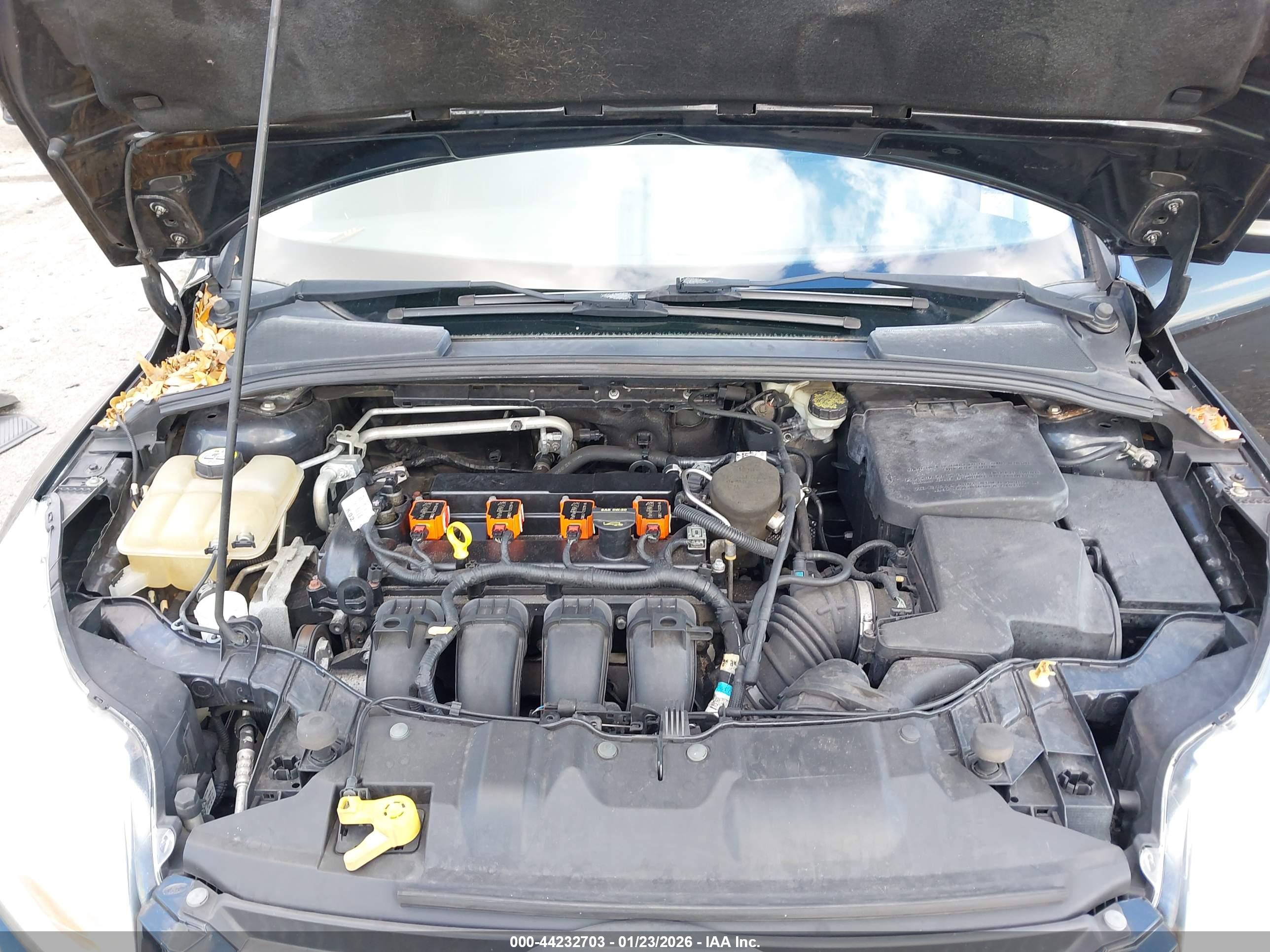 FORD FOCUS image 10