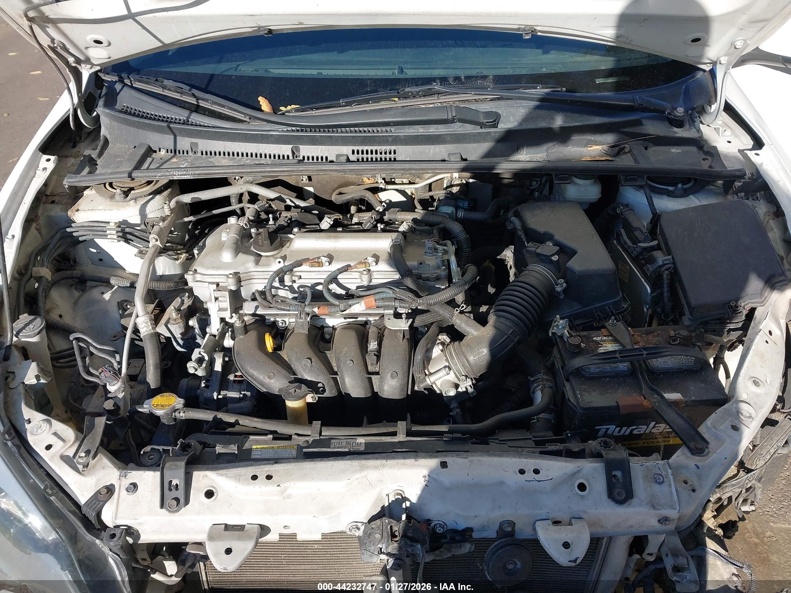 TOYOTA COROLLA image 10