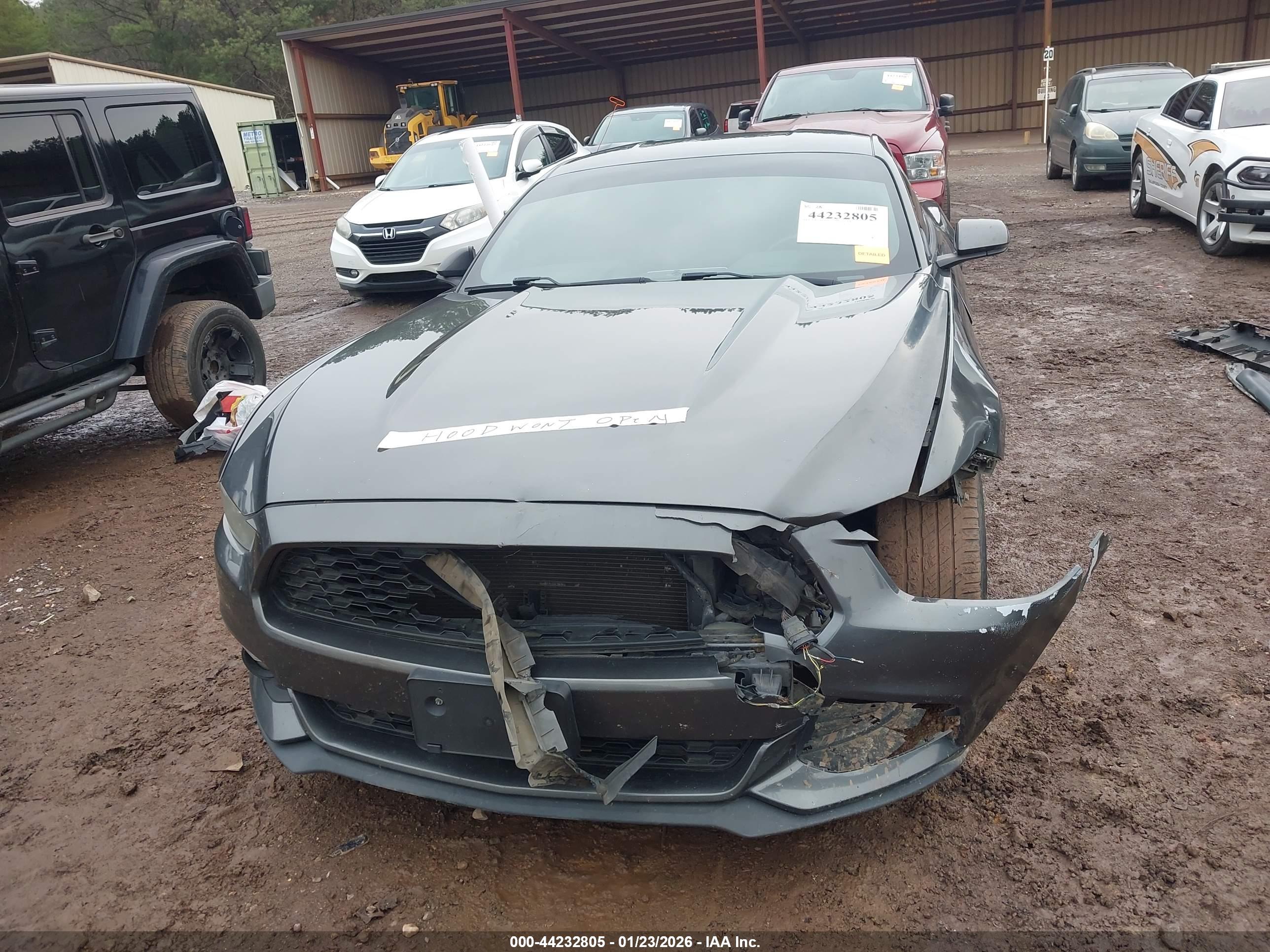 FORD MUSTANG image 6