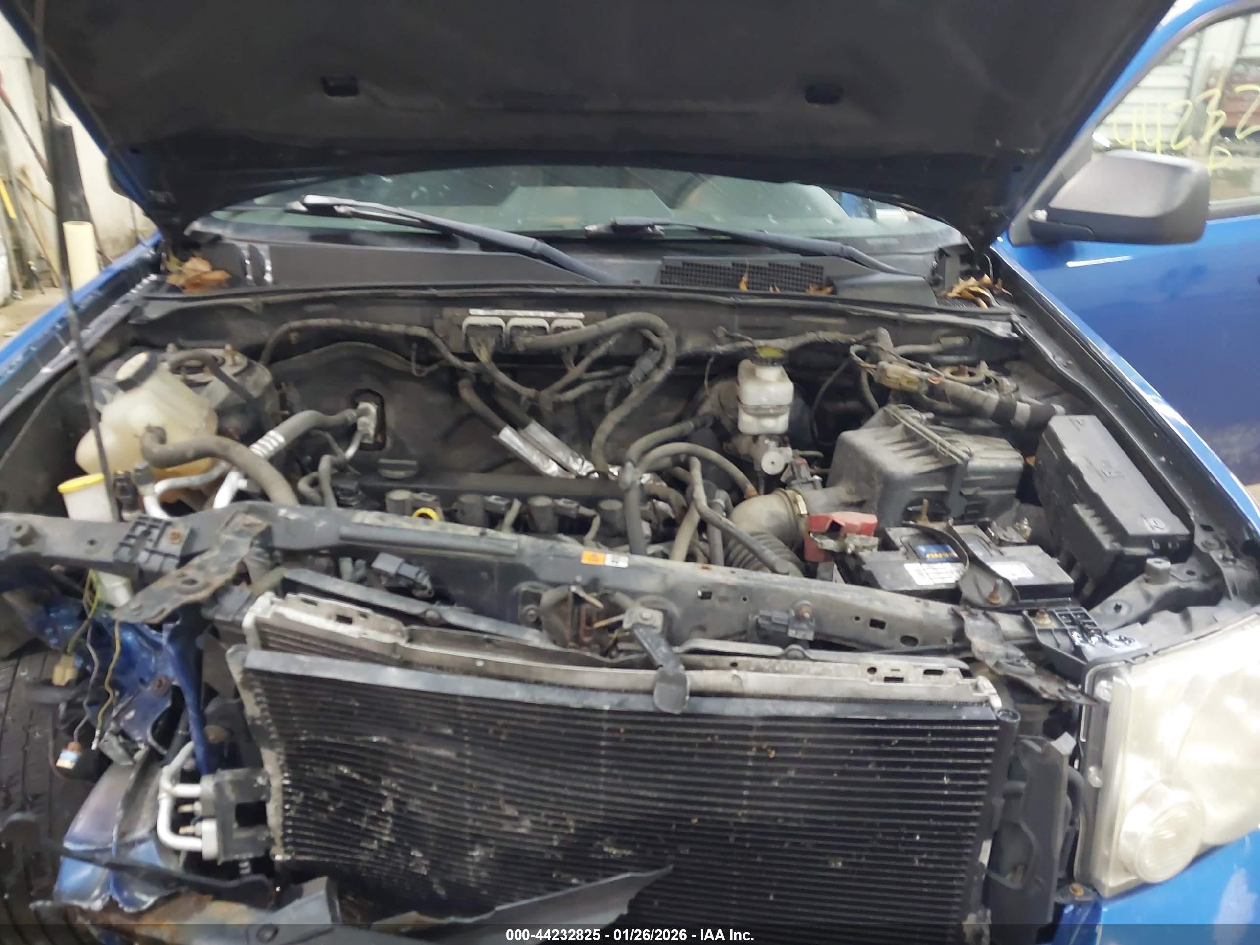 FORD ESCAPE image 10