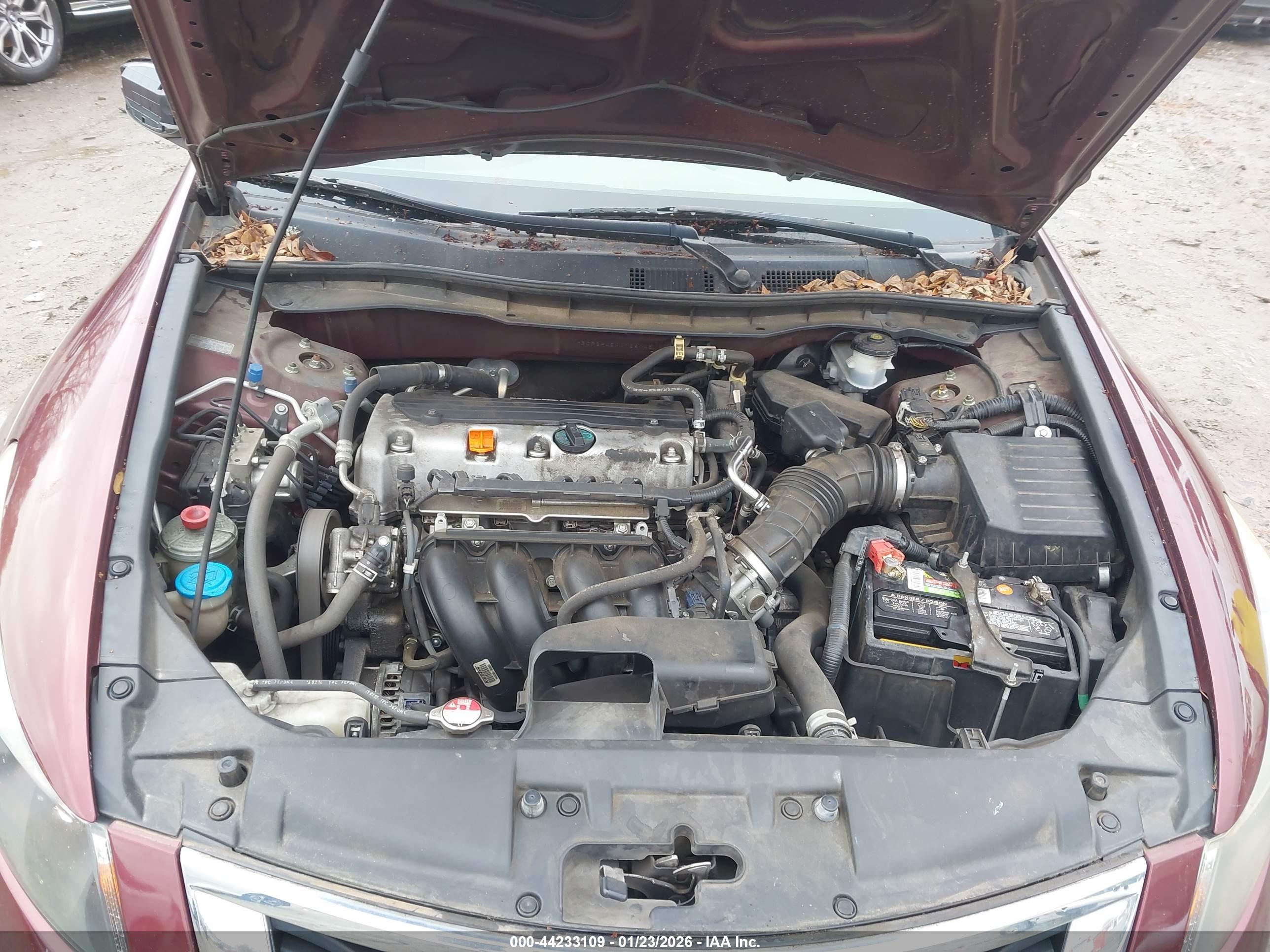HONDA ACCORD image 10