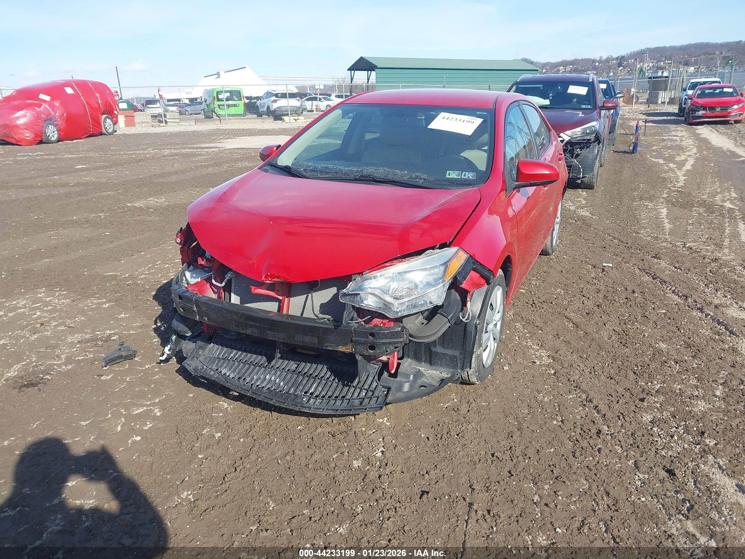 TOYOTA COROLLA image 2