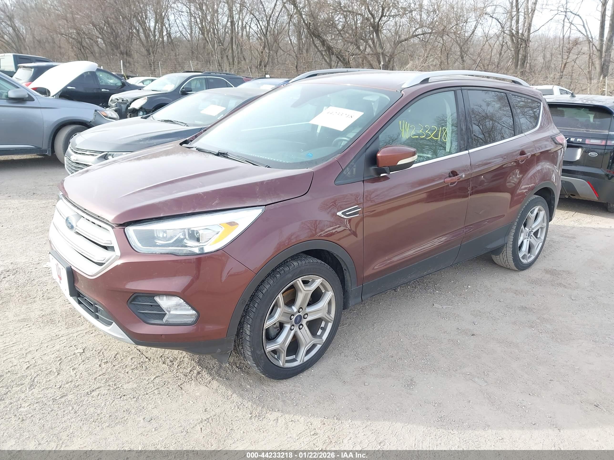 FORD ESCAPE image 2