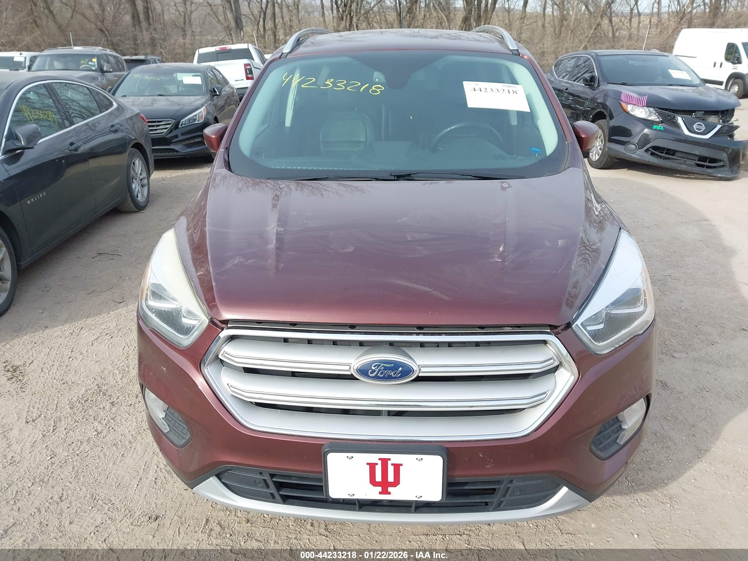 FORD ESCAPE image 6