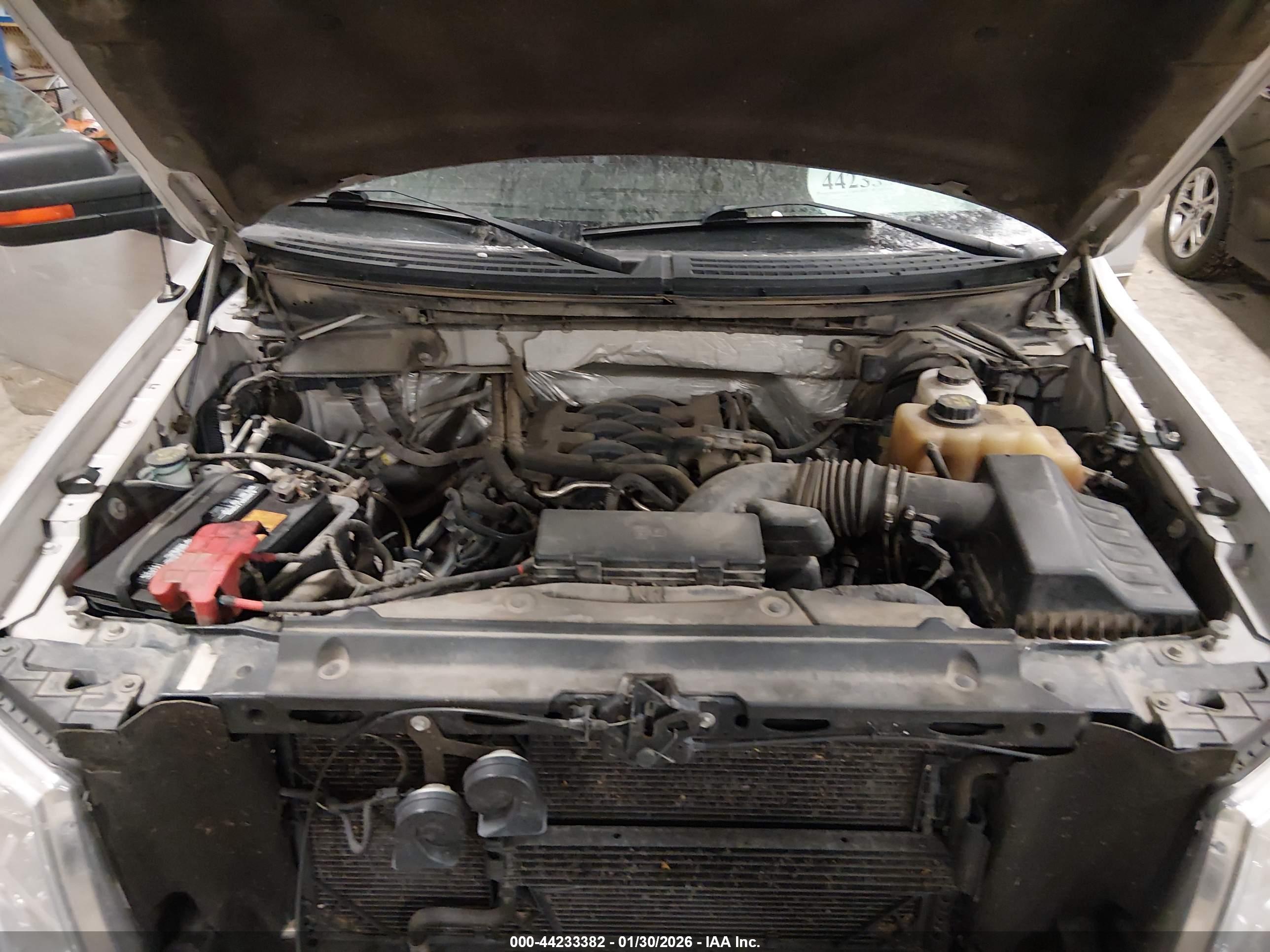 FORD F-150 image 10