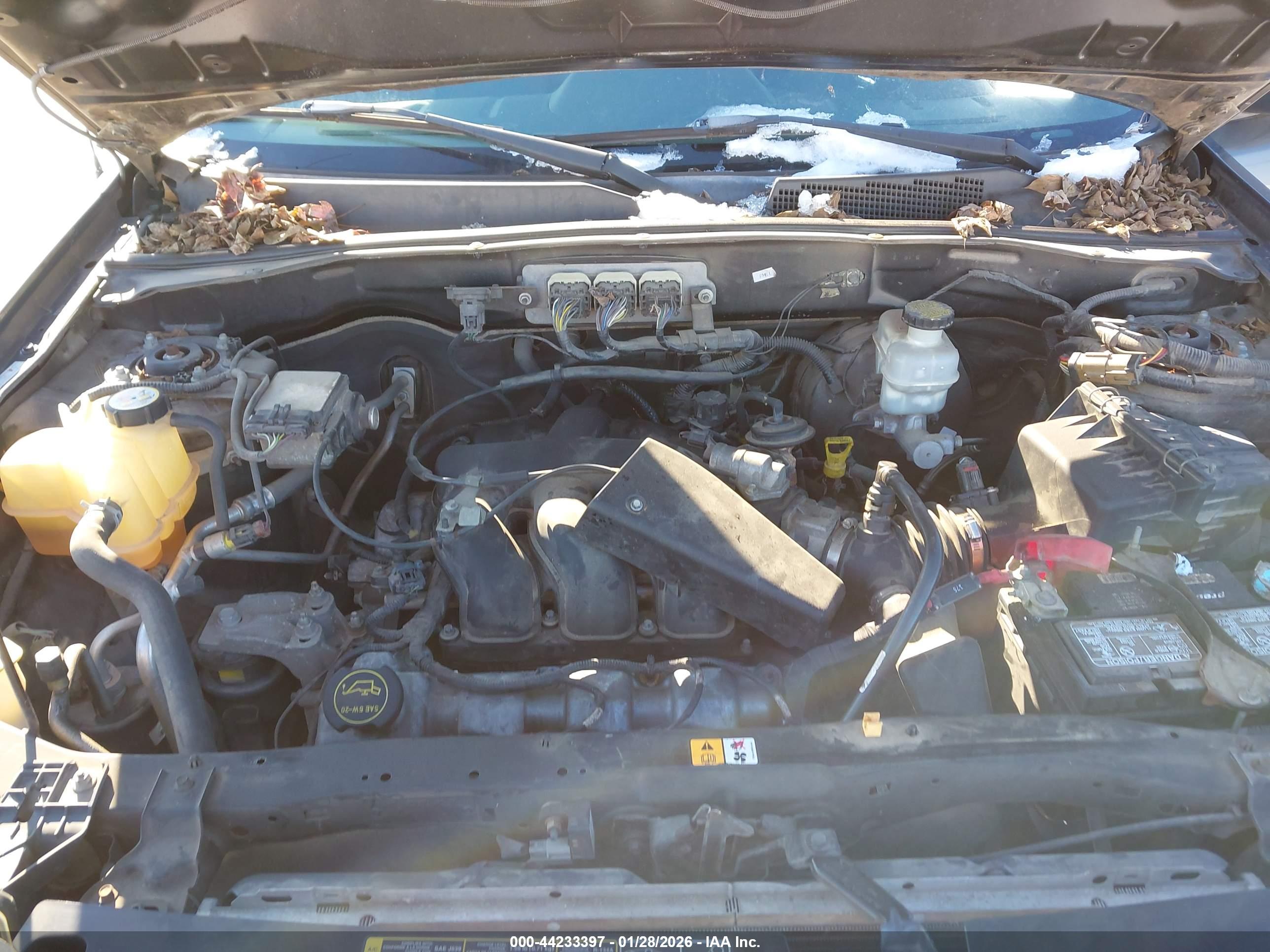 FORD ESCAPE image 10