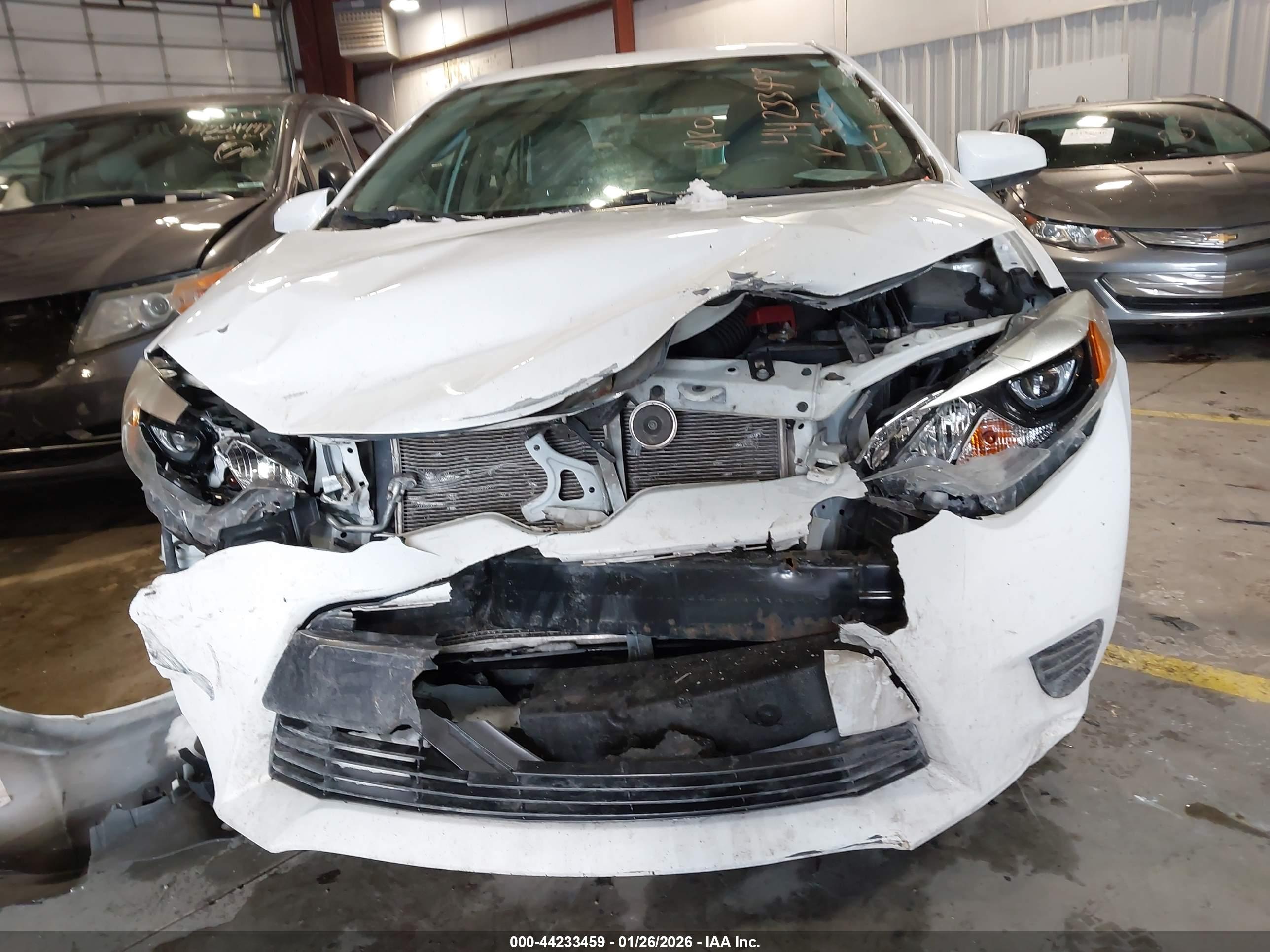 TOYOTA COROLLA image 6