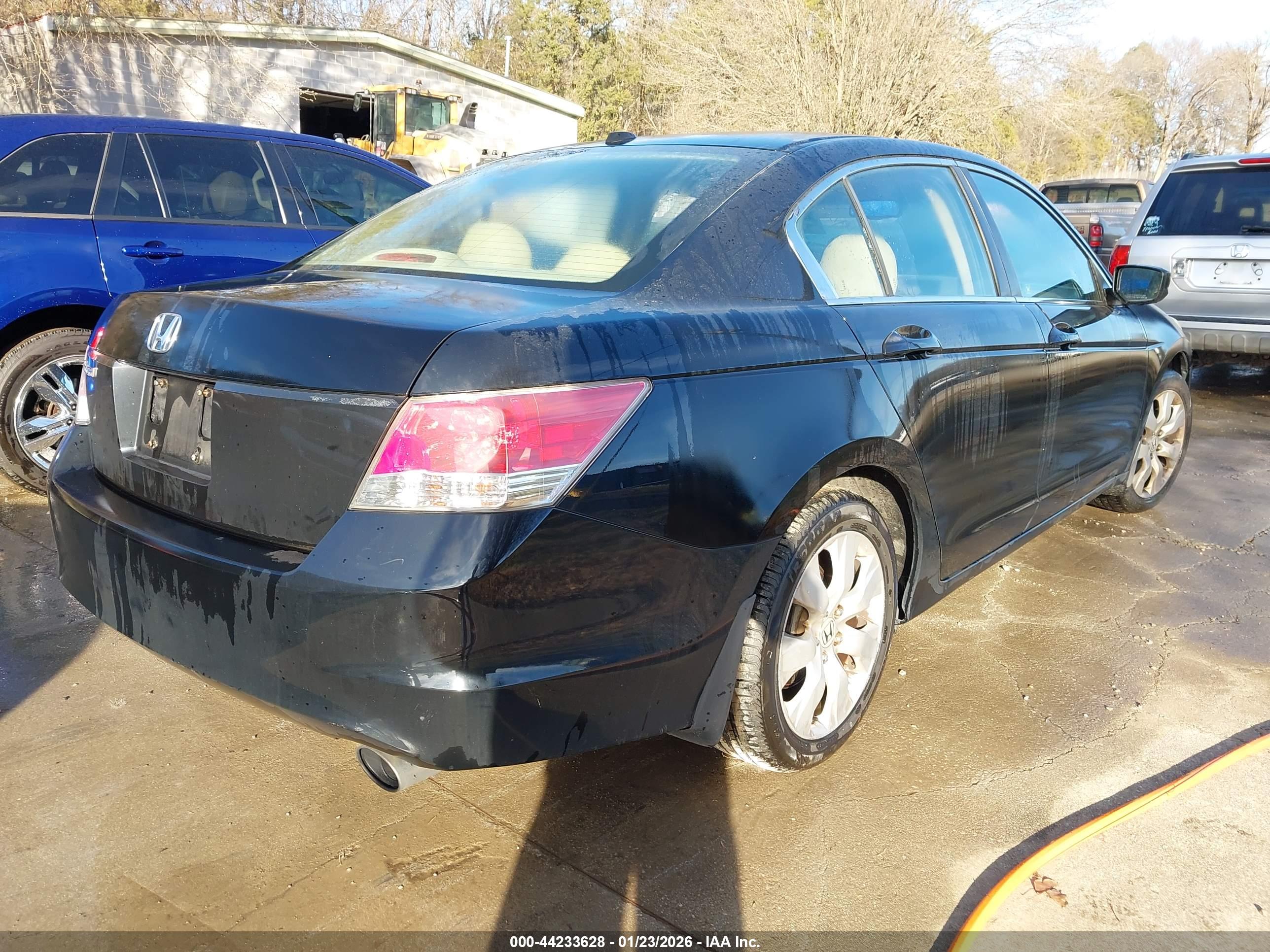 HONDA ACCORD image 4