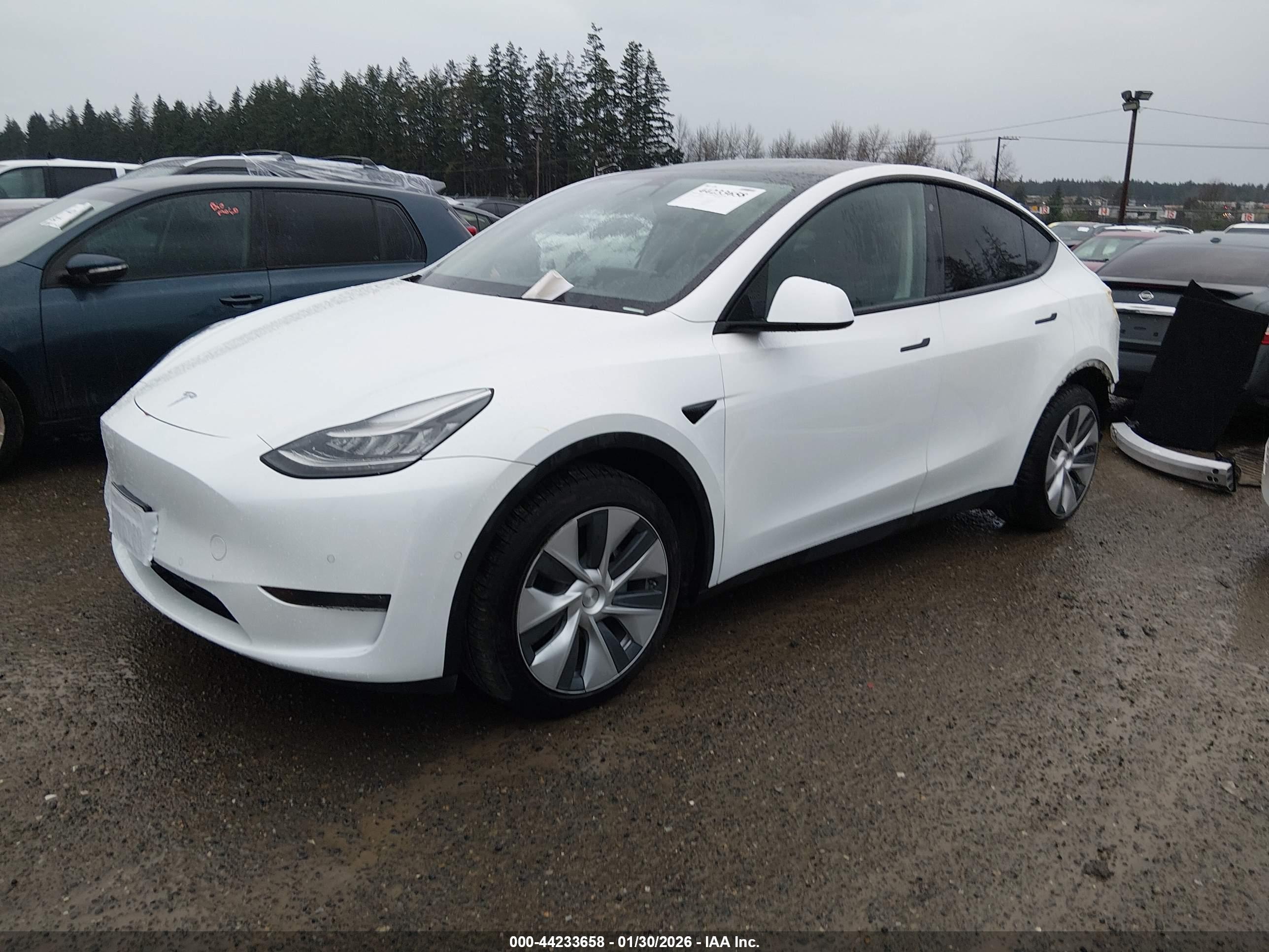 TESLA MODEL image 2