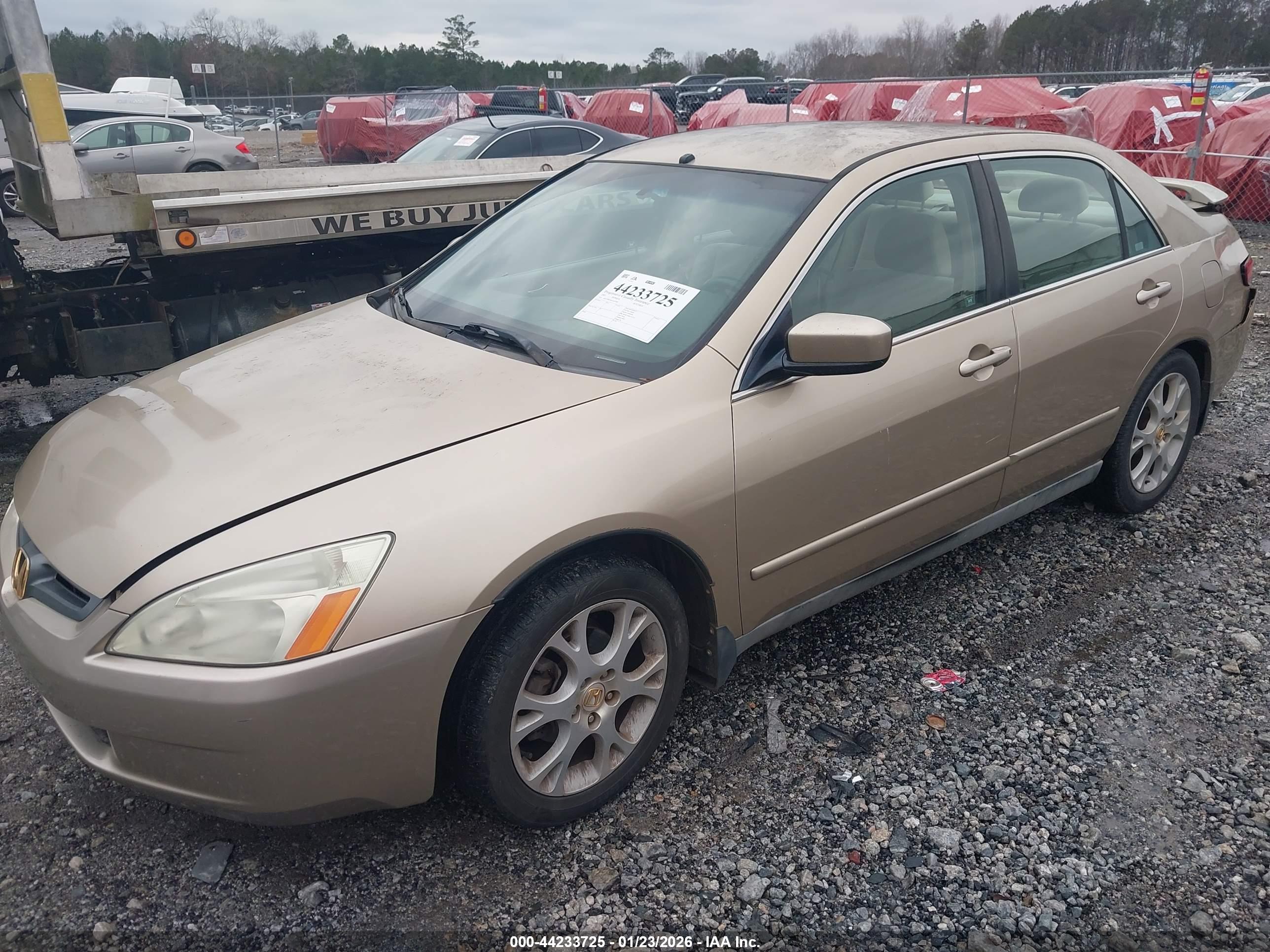 HONDA ACCORD image 2