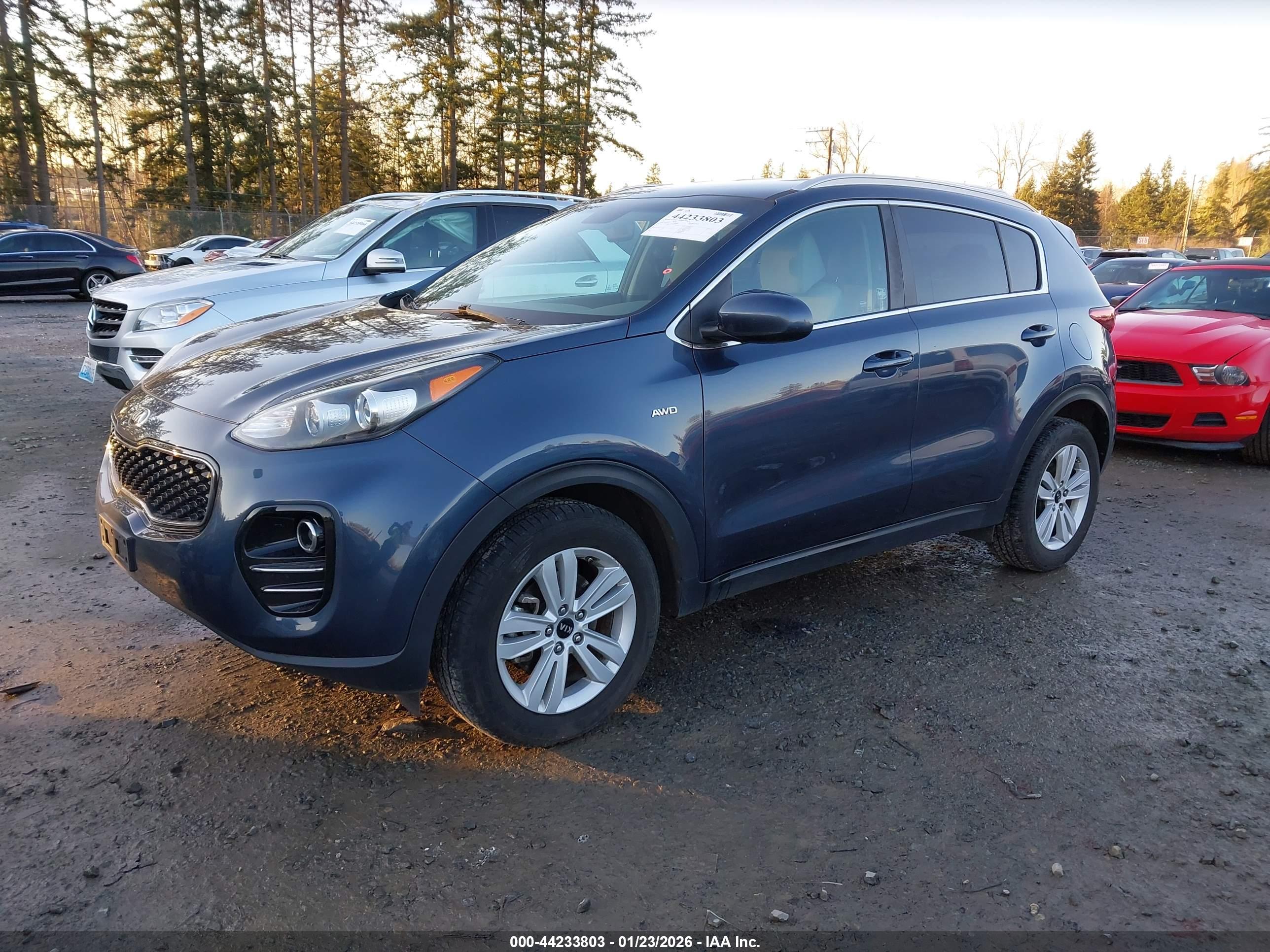 KIA SPORTAGE image 2