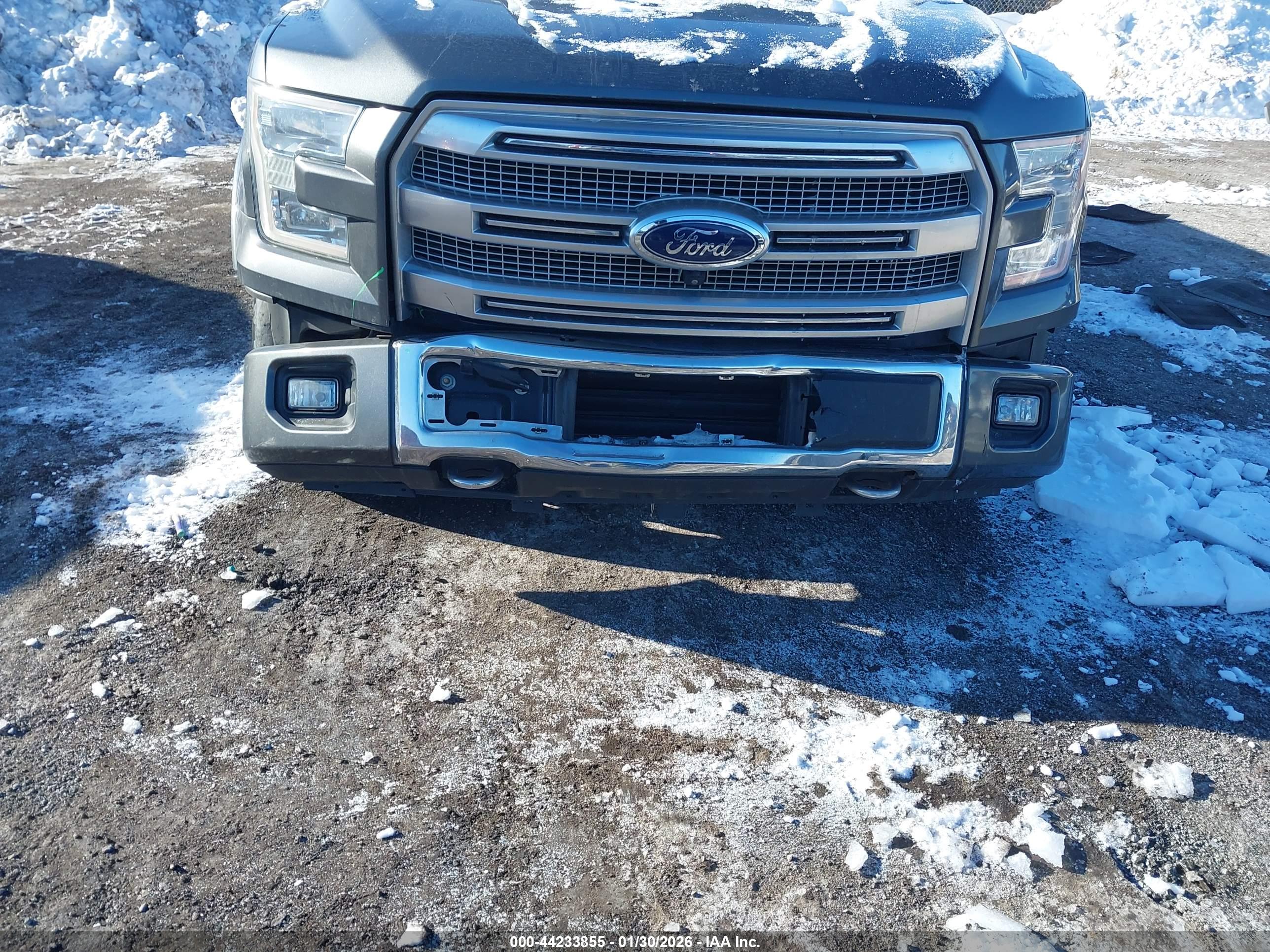 FORD F-150 image 6