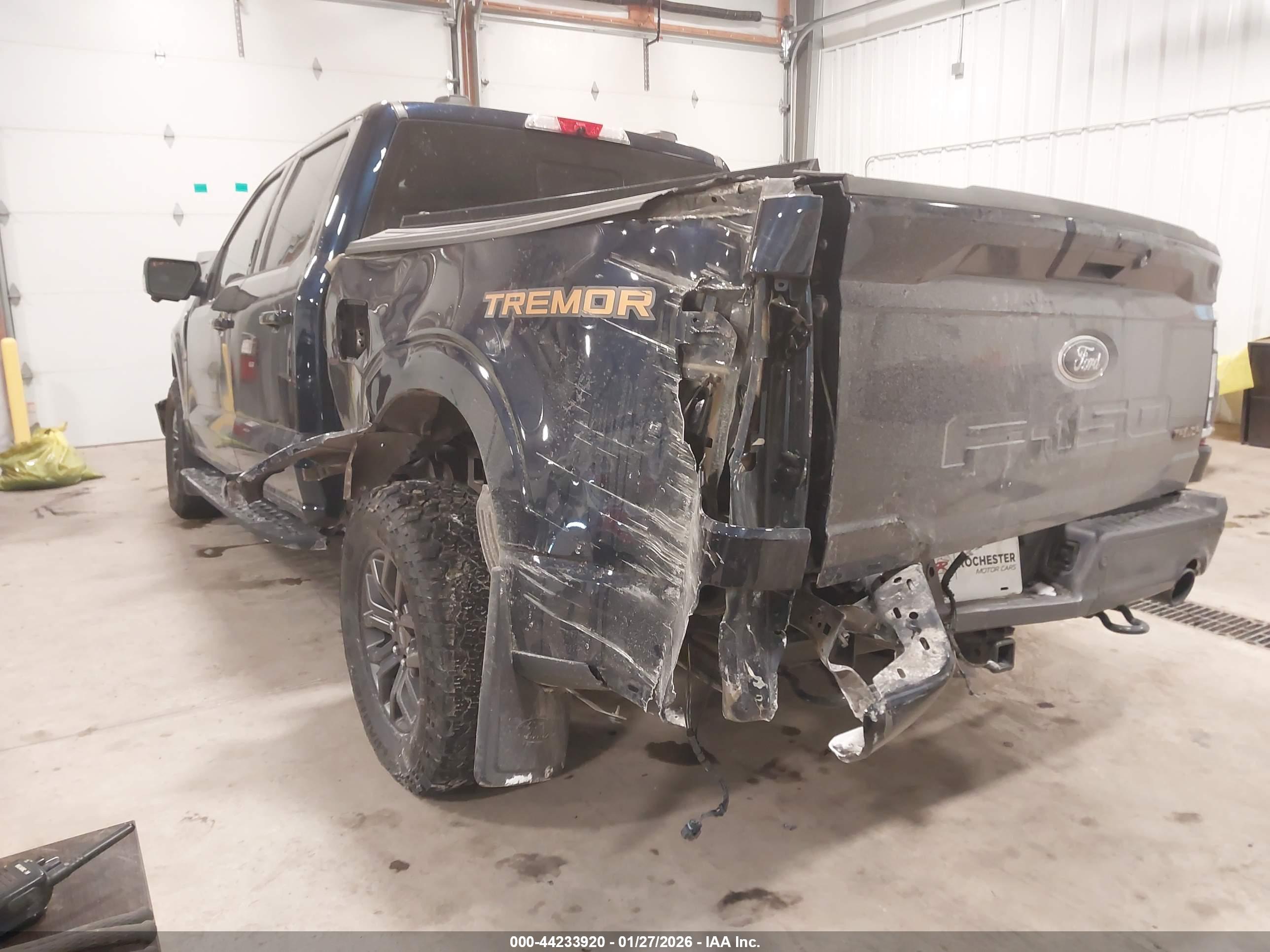 FORD F-150 image 3