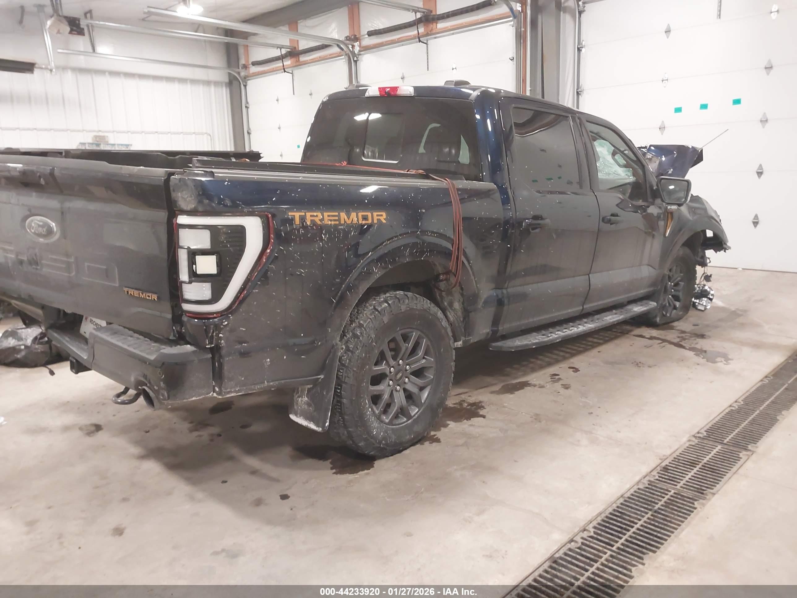 FORD F-150 image 4