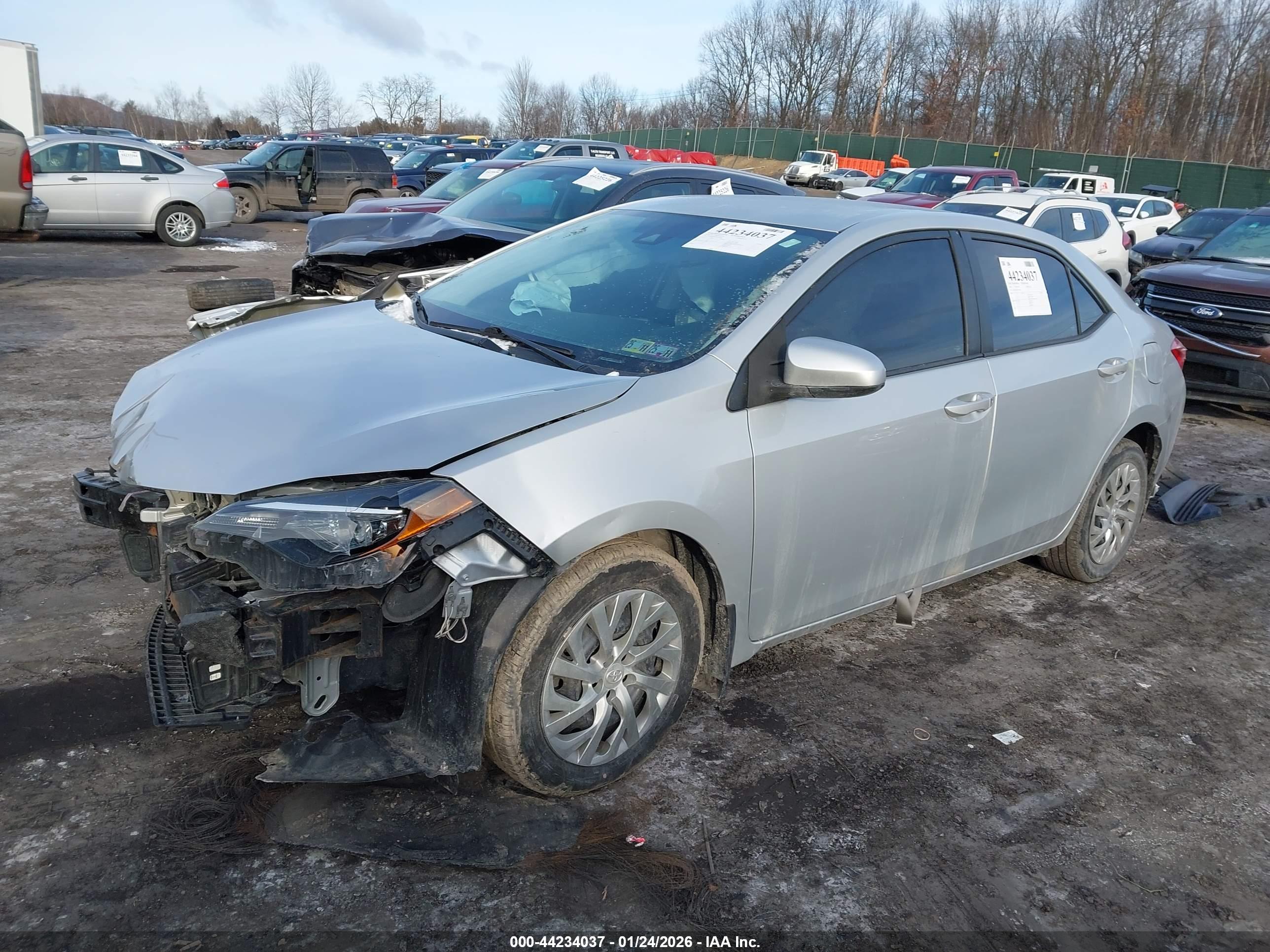 TOYOTA COROLLA image 2